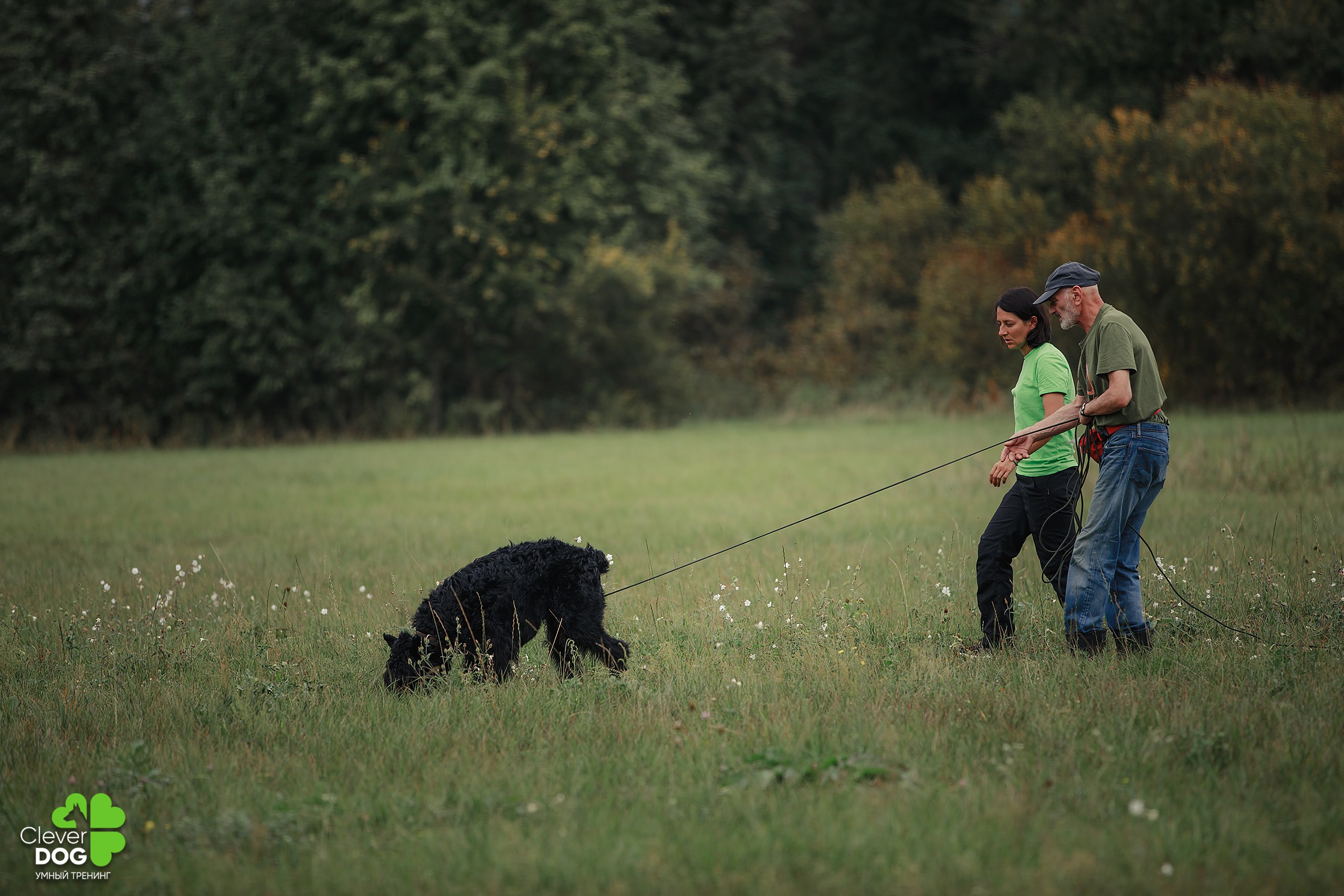 Кинологический лагерь CleverDog, 2024. Фотограф-анималист Mary Mart — Москва, Питер