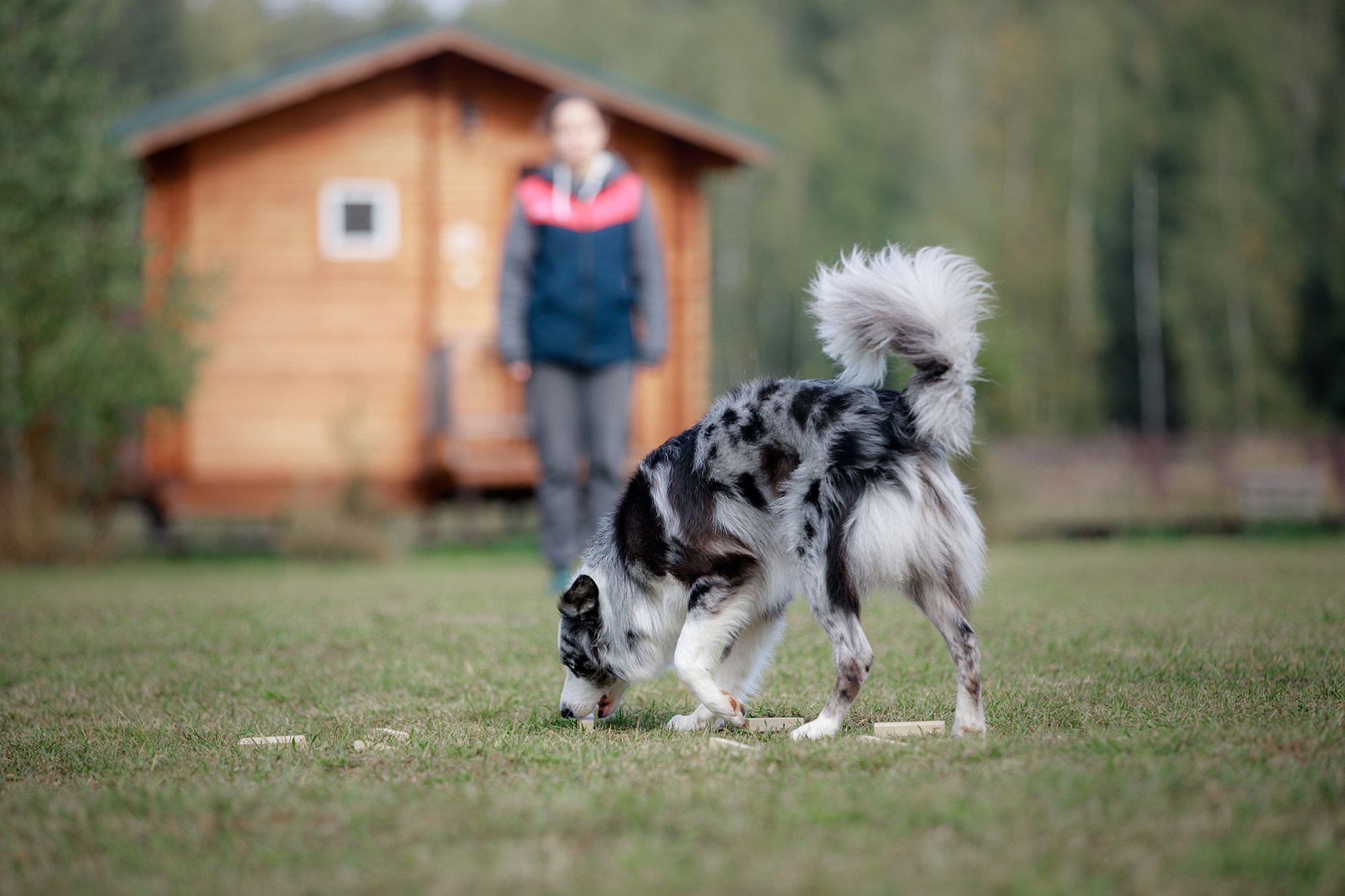 Лагерь по ОБД с Инной Баженовой. Фотограф-анималист Mary Mart — Москва, Питер