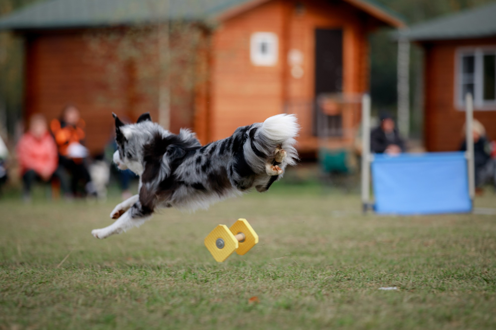 Лагерь по ОБД с Инной Баженовой. Фотограф-анималист Mary Mart — Москва, Питер