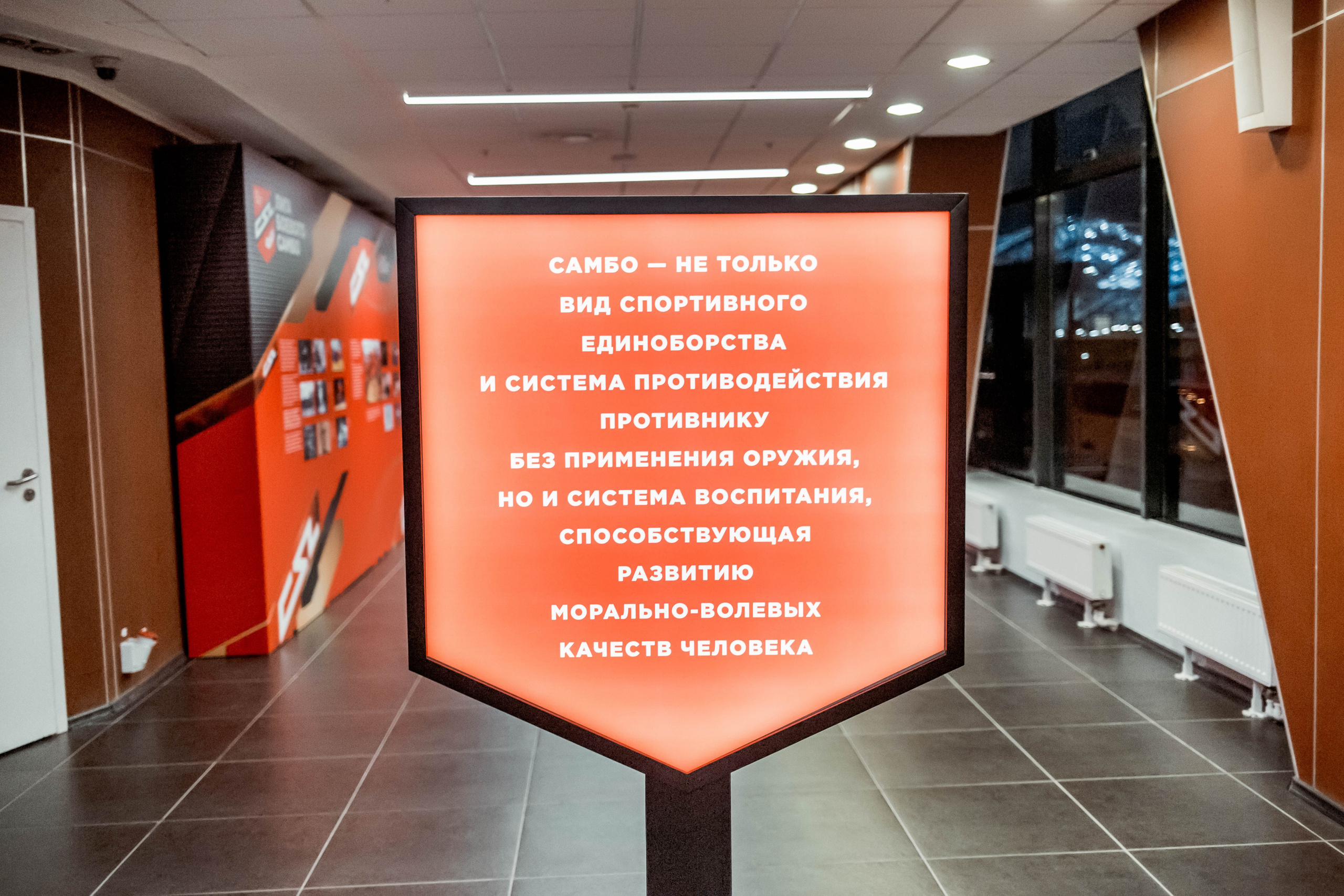 Лига Боевого Самбо. Репортажный фотограф в Сочи Дмитрий Ветринский