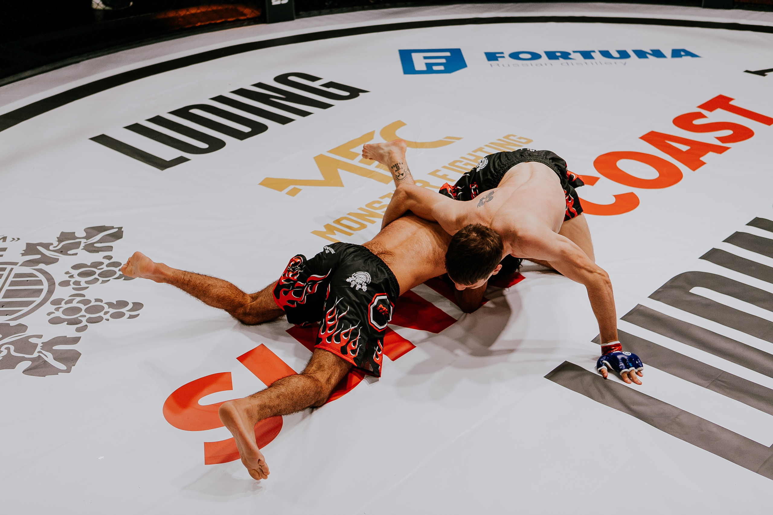 MMA SERIES 56. Репортажный фотограф в Сочи Дмитрий Ветринский