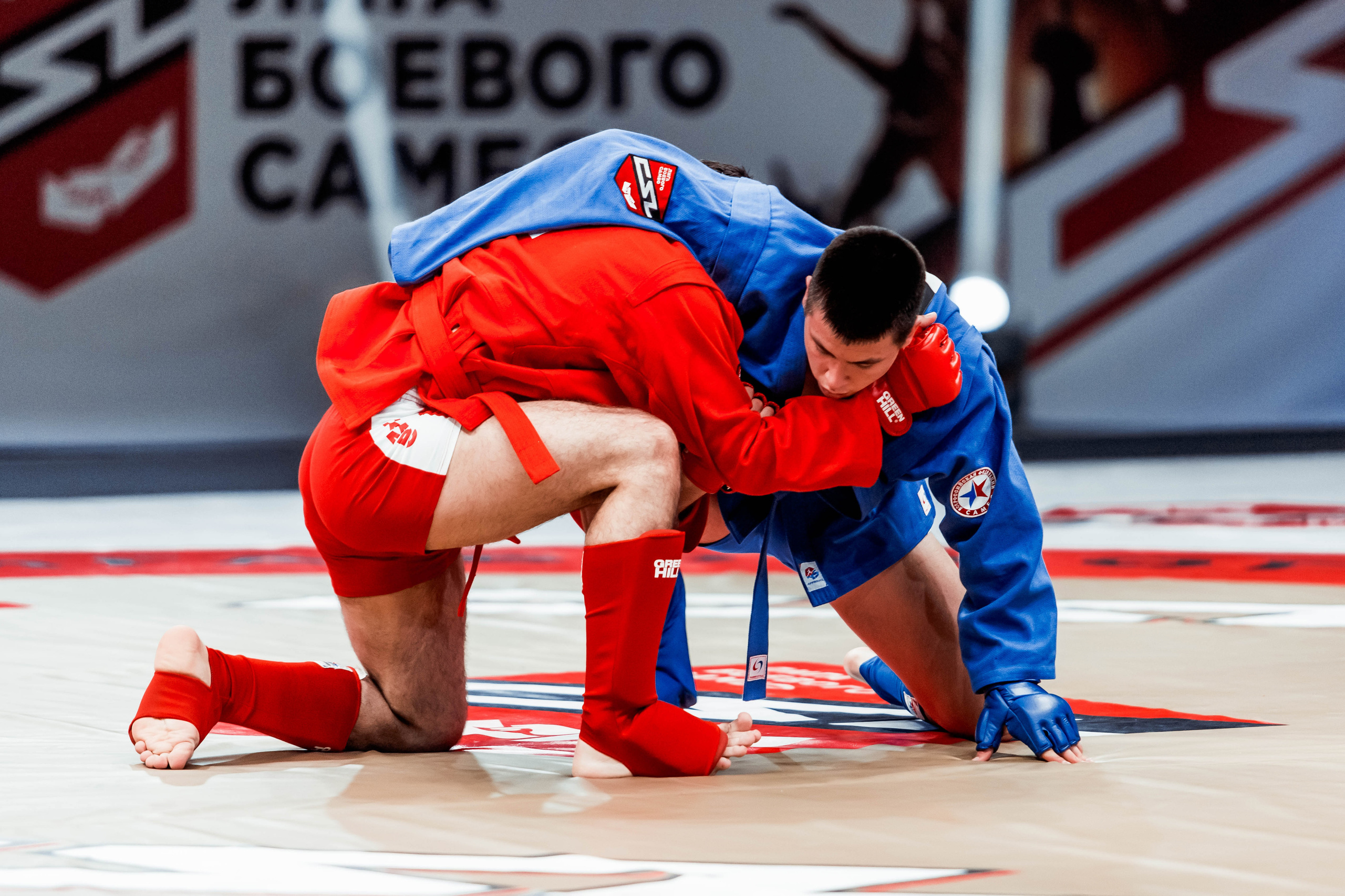 Лига Боевого Самбо. Репортажный фотограф в Сочи Дмитрий Ветринский