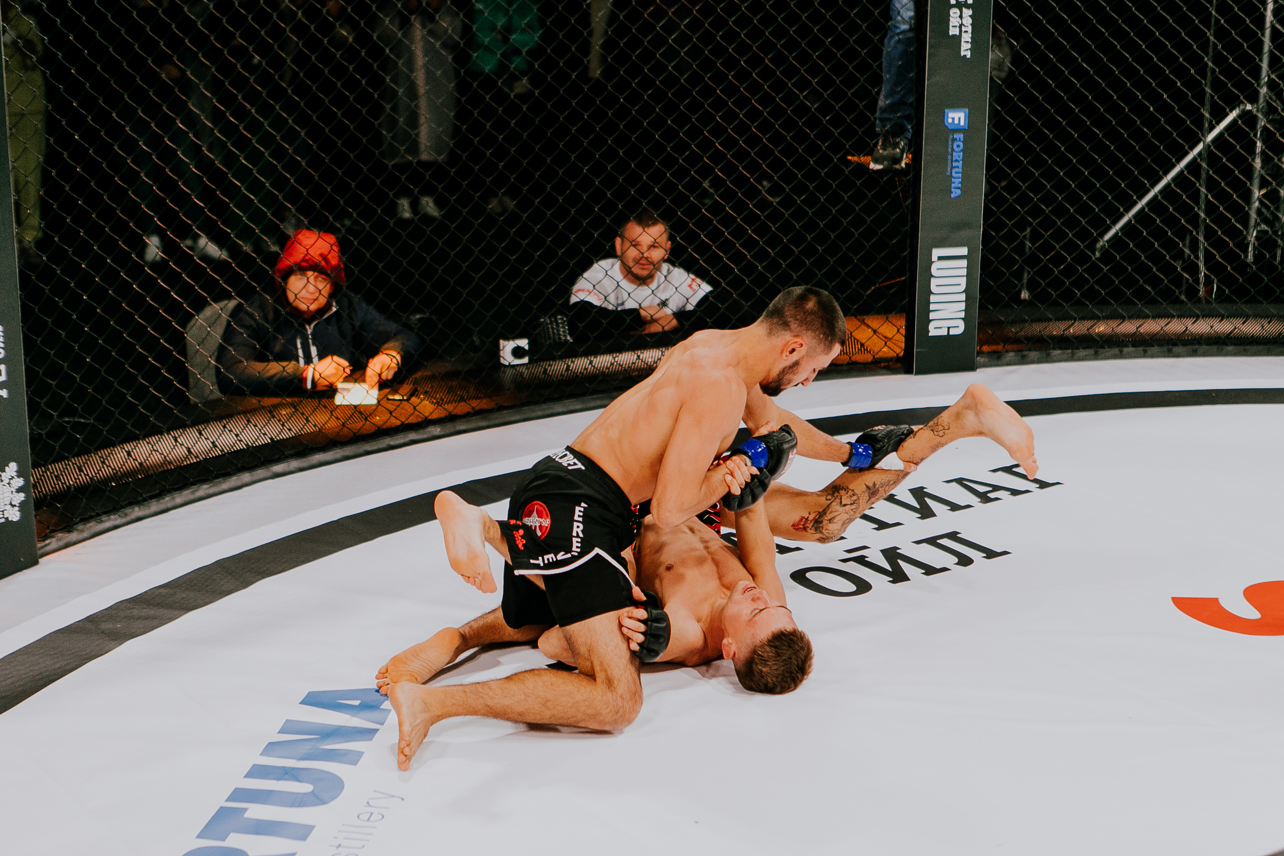 MMA SERIES 56. Репортажный фотограф в Сочи Дмитрий Ветринский