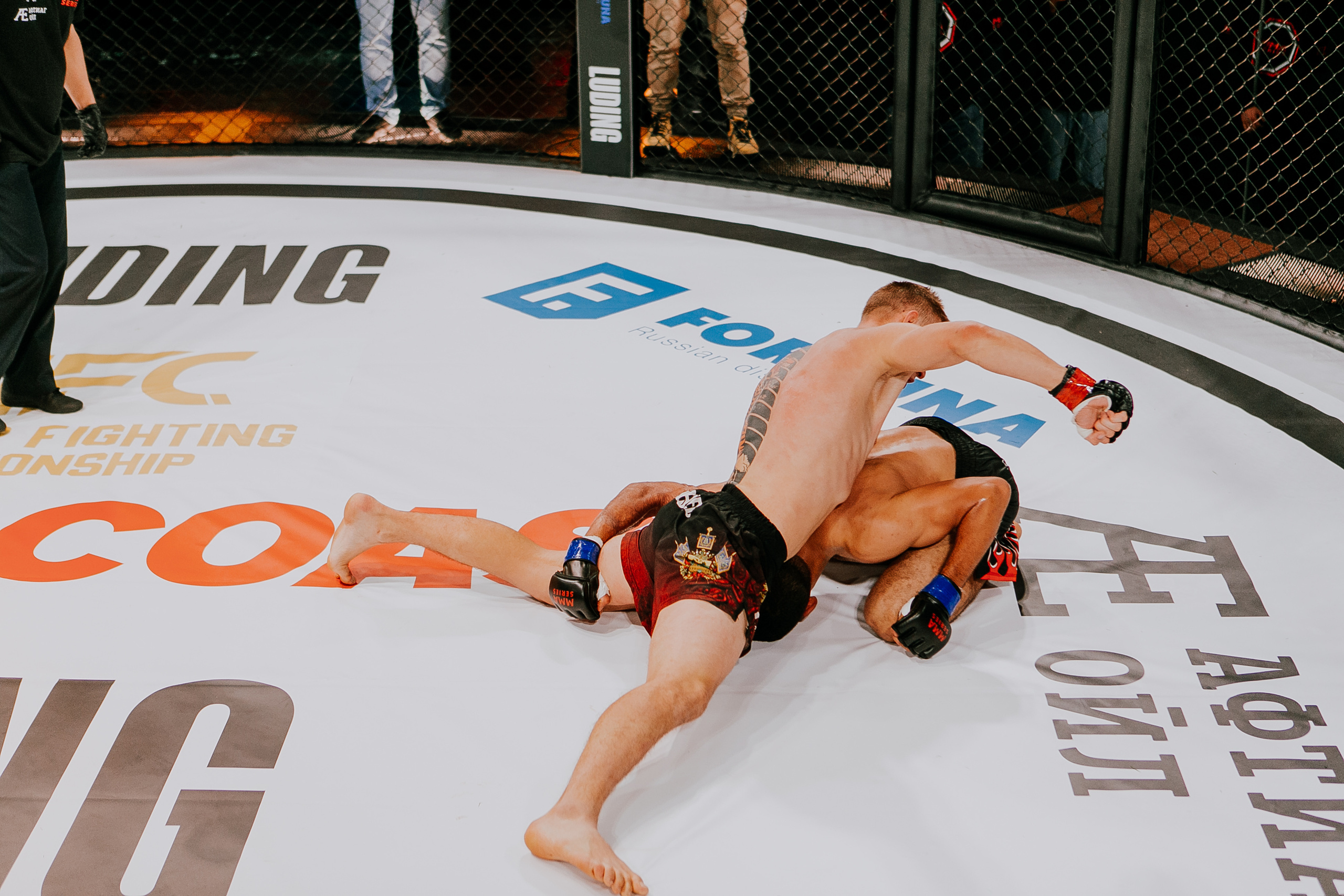 MMA SERIES 56. Репортажный фотограф в Сочи Дмитрий Ветринский