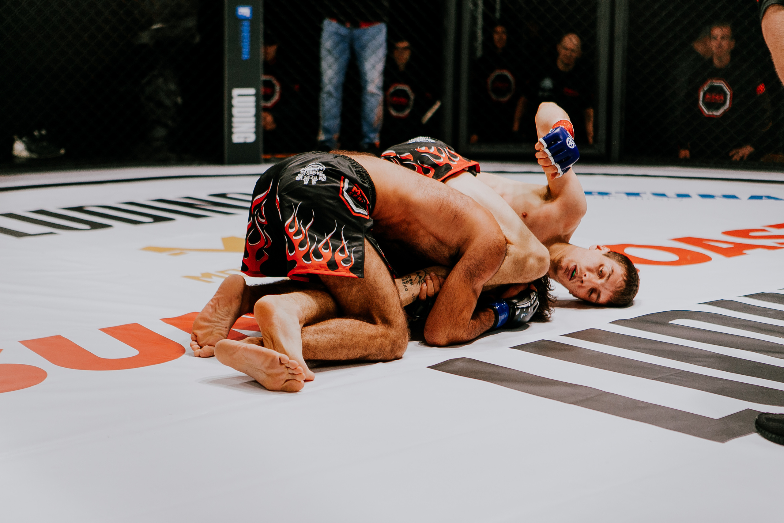 MMA SERIES 56. Репортажный фотограф в Сочи Дмитрий Ветринский