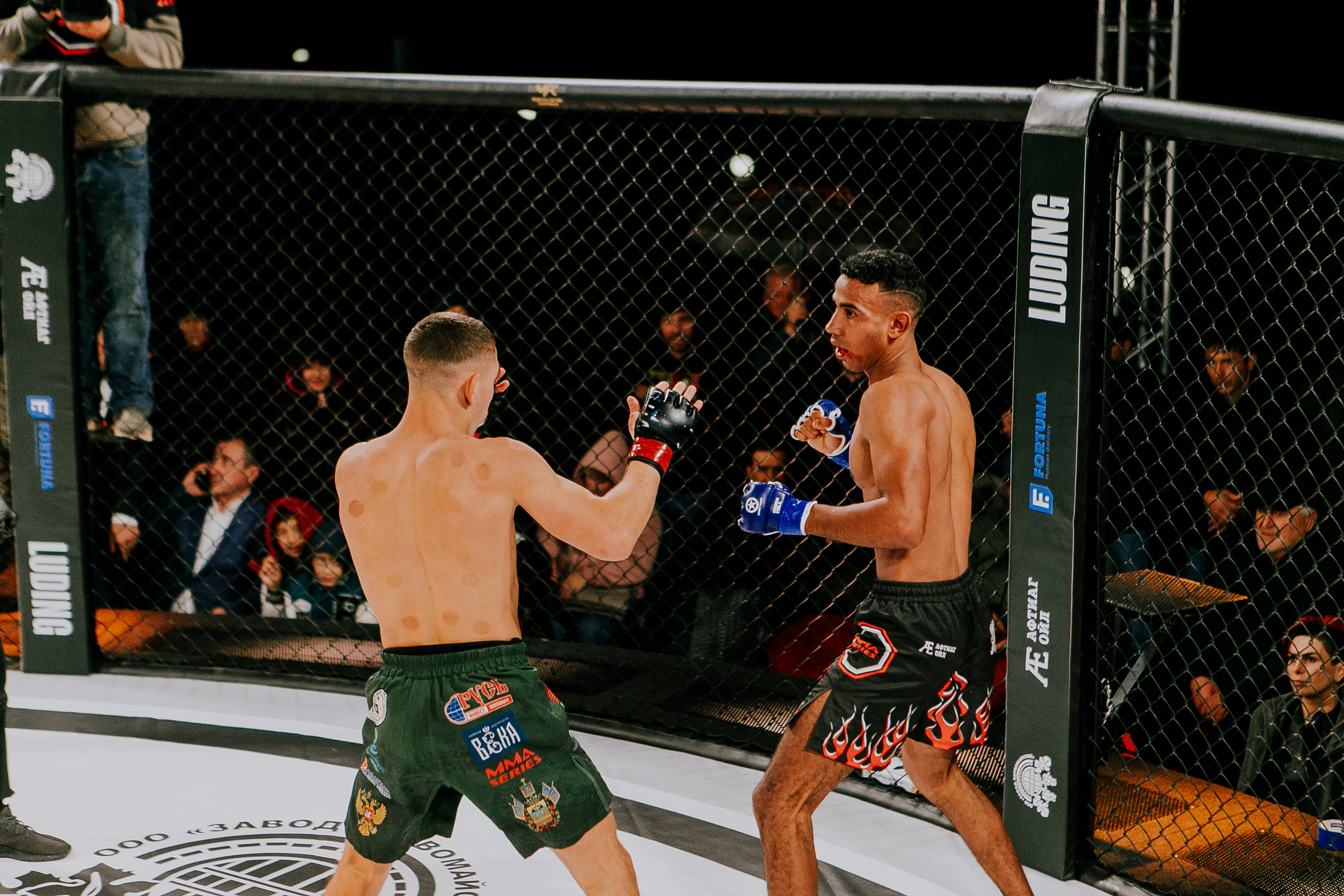 MMA SERIES 56. Репортажный фотограф в Сочи Дмитрий Ветринский