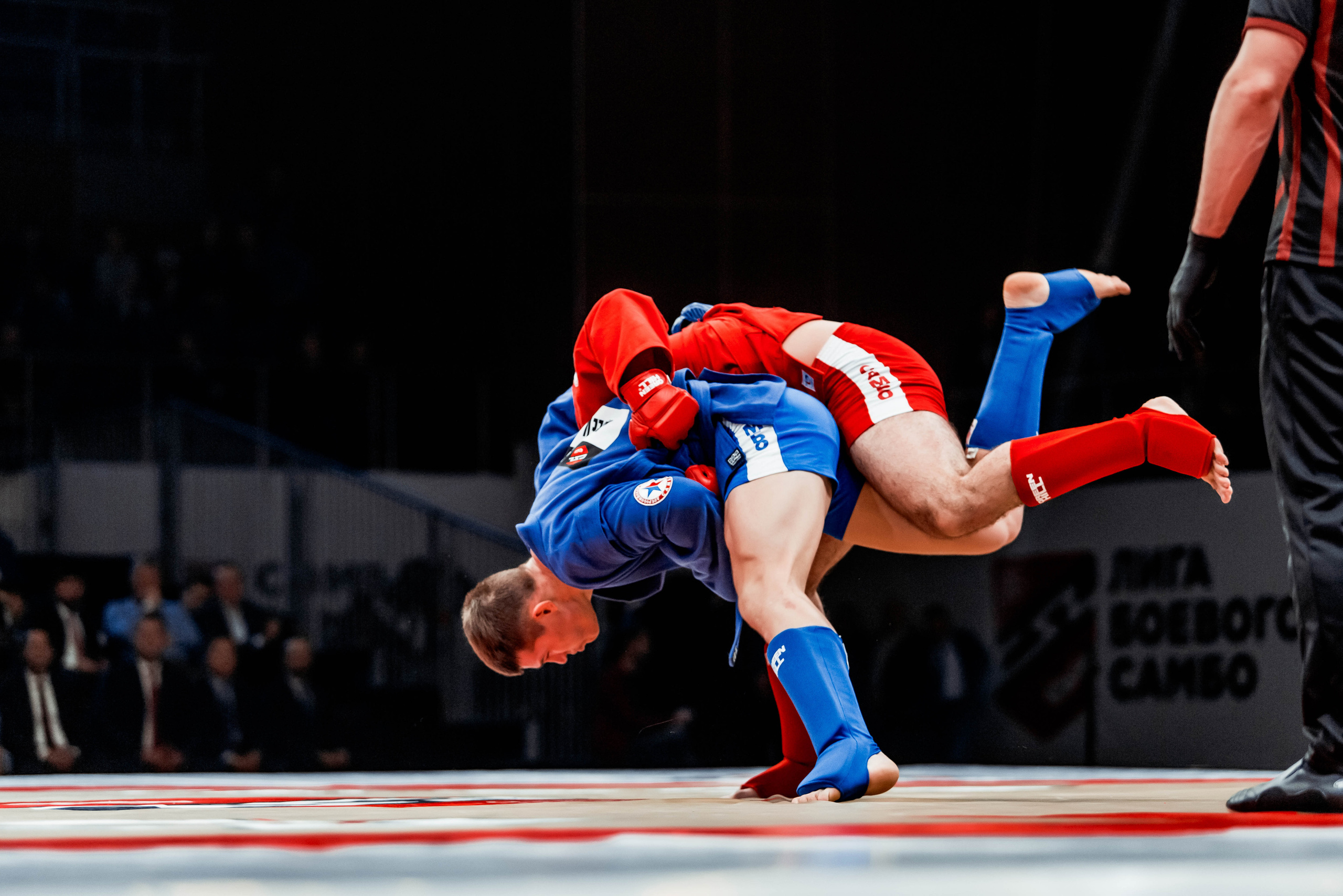 Лига Боевого Самбо. Репортажный фотограф в Сочи Дмитрий Ветринский