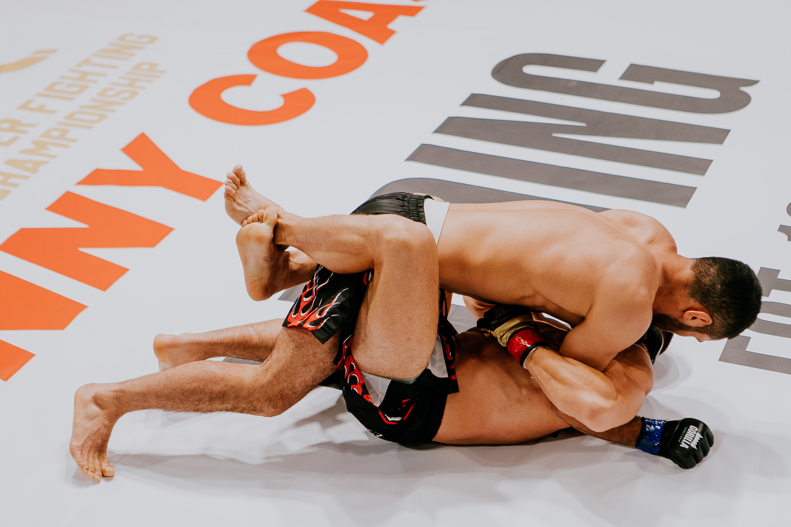 MMA SERIES 56. Репортажный фотограф в Сочи Дмитрий Ветринский