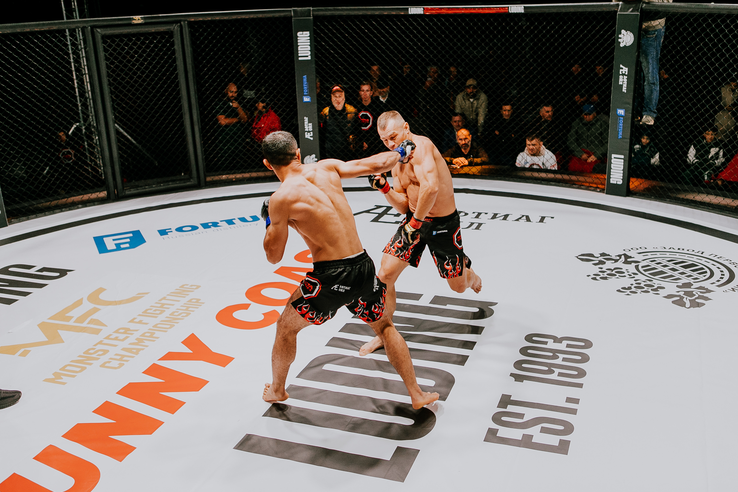 MMA SERIES 56. Репортажный фотограф в Сочи Дмитрий Ветринский