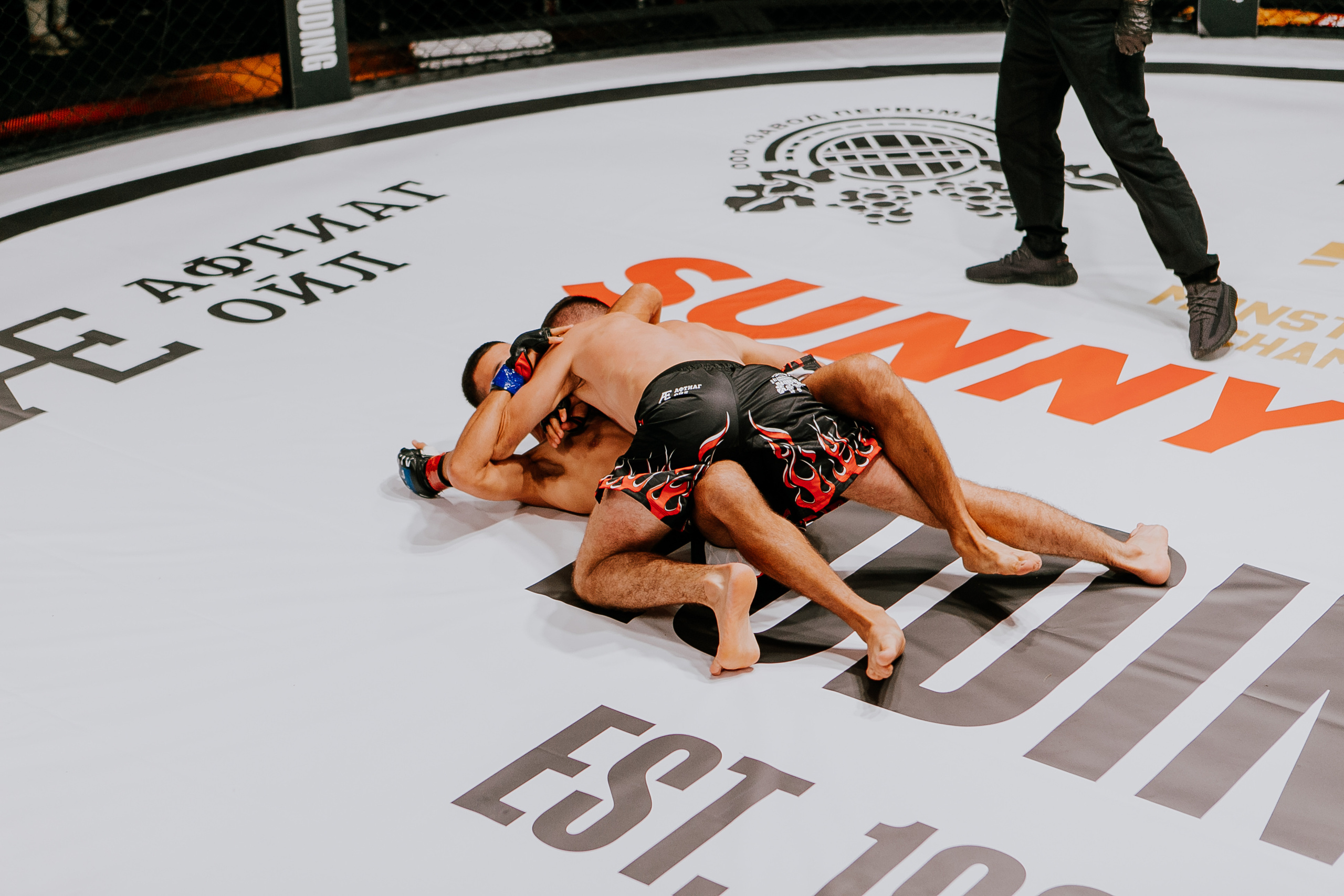 MMA SERIES 56. Репортажный фотограф в Сочи Дмитрий Ветринский