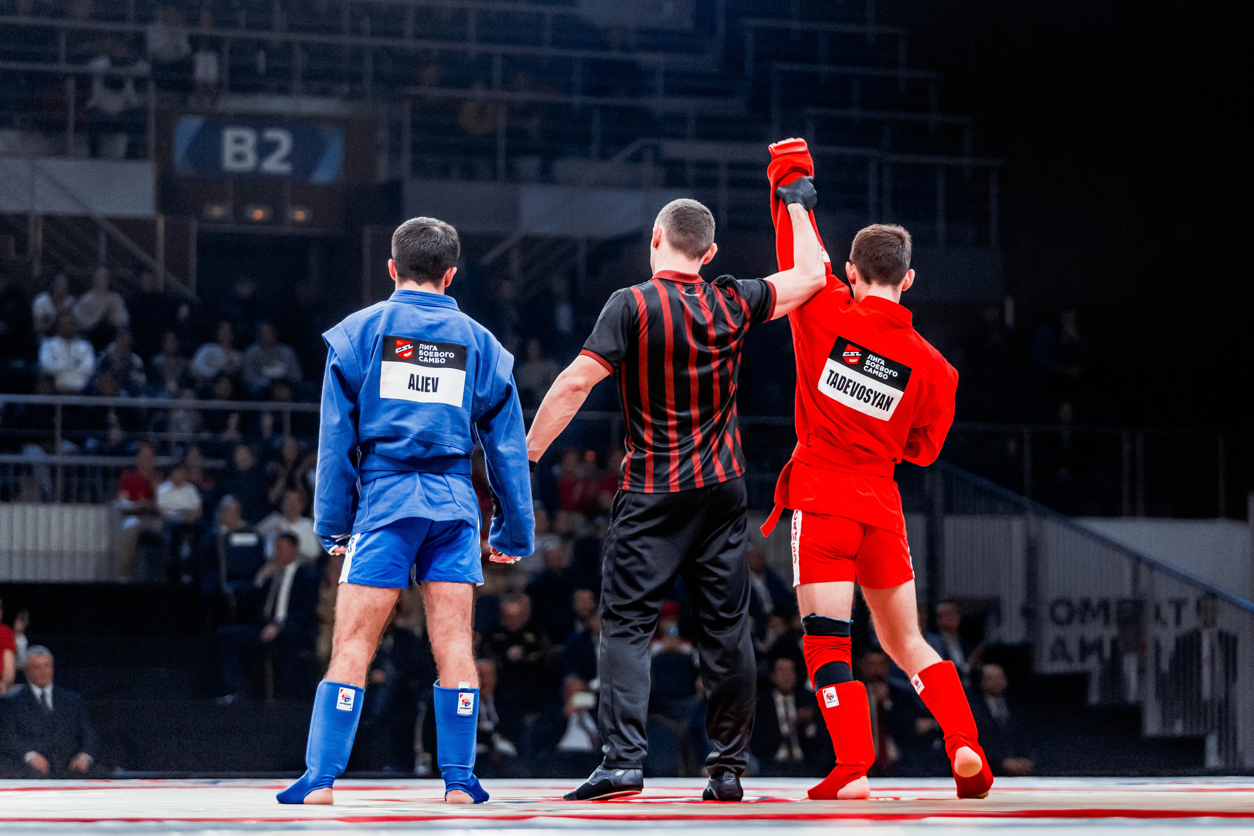 Лига Боевого Самбо. Репортажный фотограф в Сочи Дмитрий Ветринский