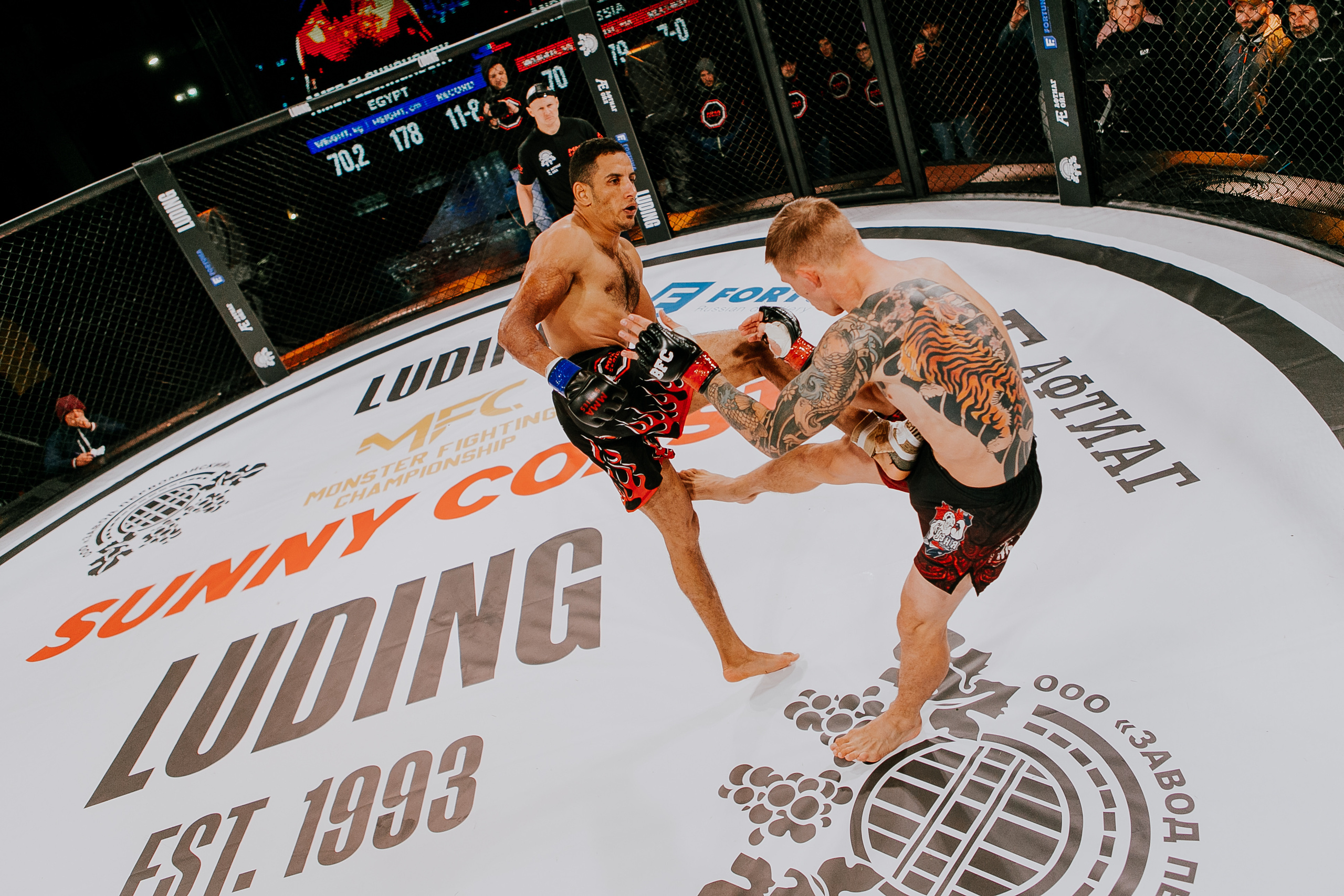 MMA SERIES 56. Репортажный фотограф в Сочи Дмитрий Ветринский