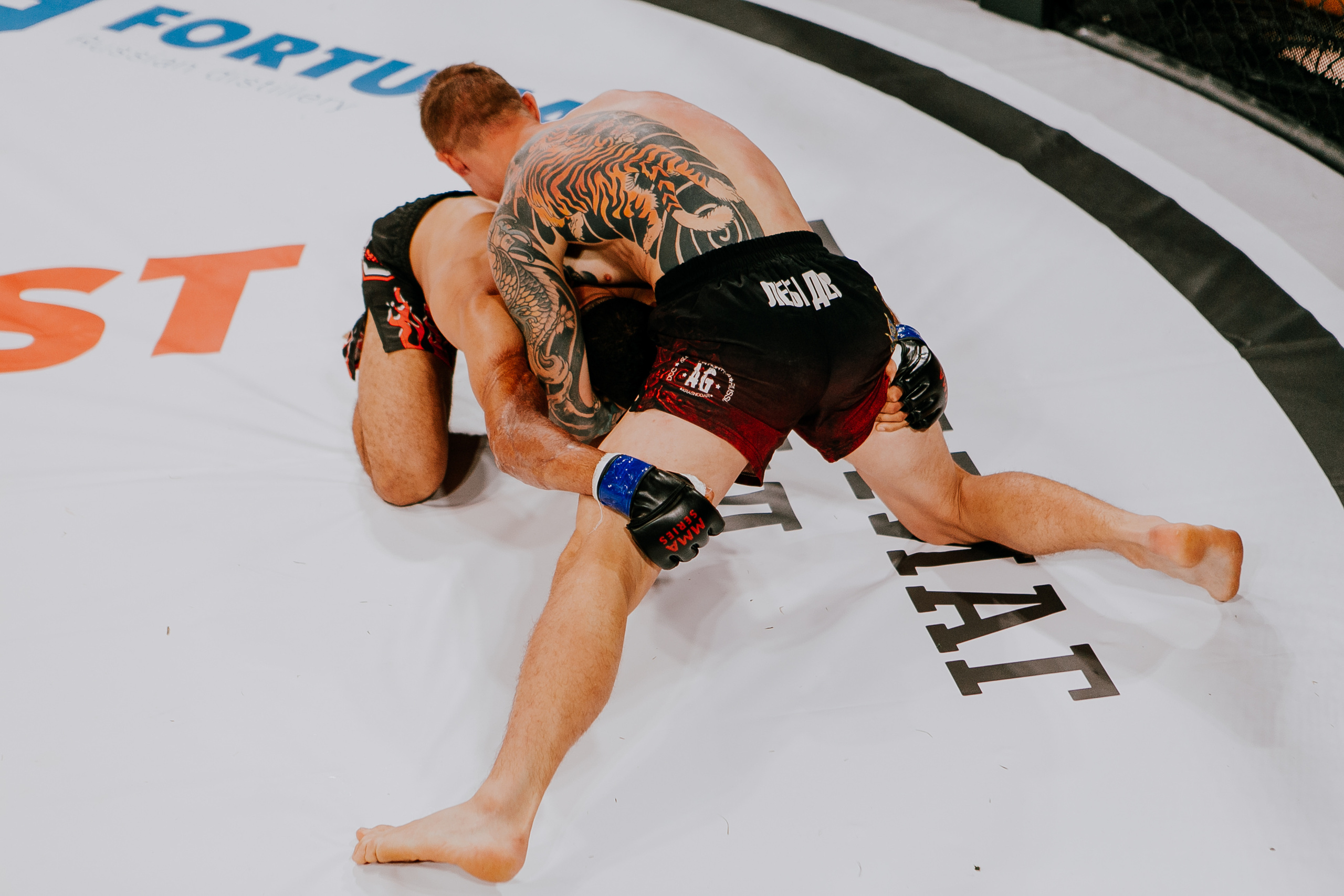 MMA SERIES 56. Репортажный фотограф в Сочи Дмитрий Ветринский