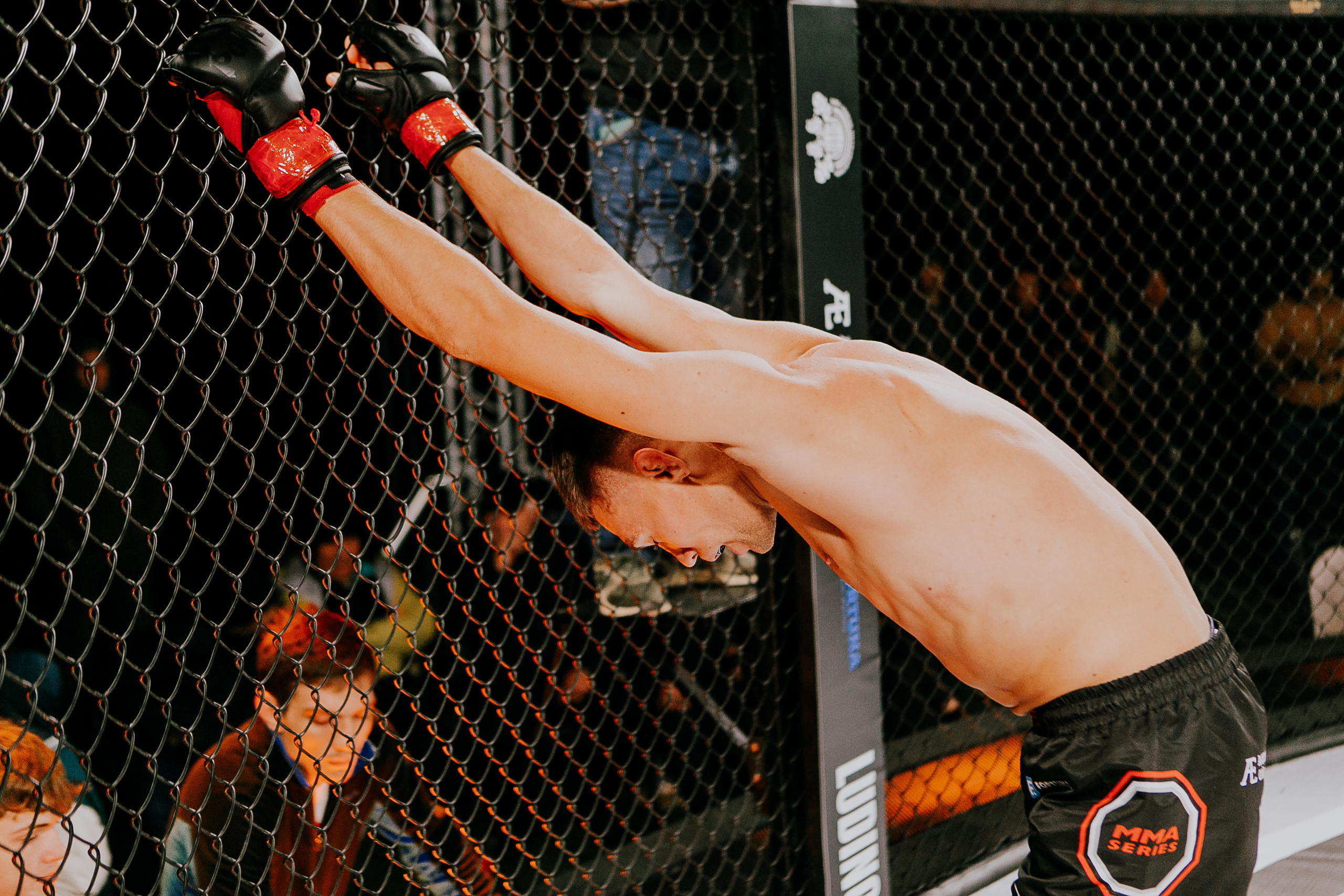 MMA SERIES 56. Репортажный фотограф в Сочи Дмитрий Ветринский