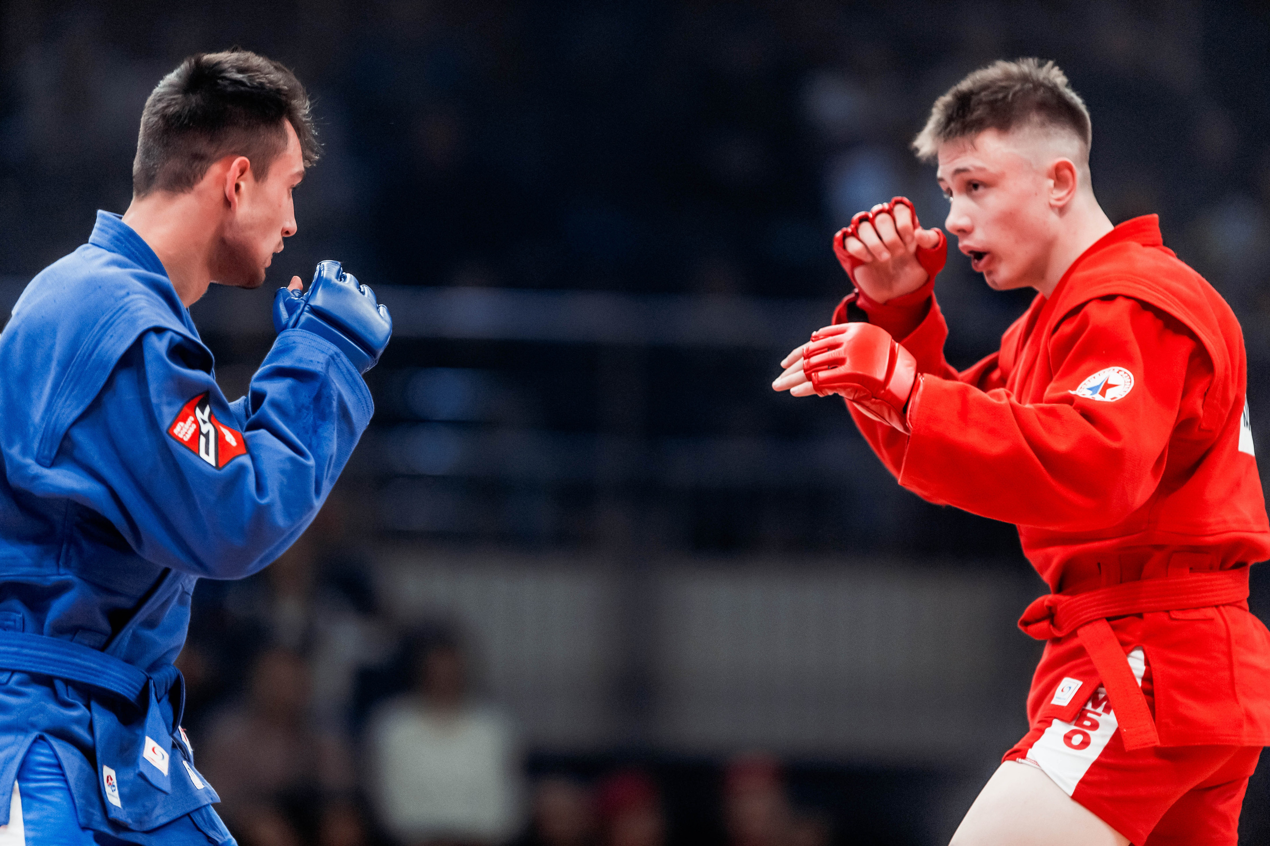 Лига Боевого Самбо. Репортажный фотограф в Сочи Дмитрий Ветринский