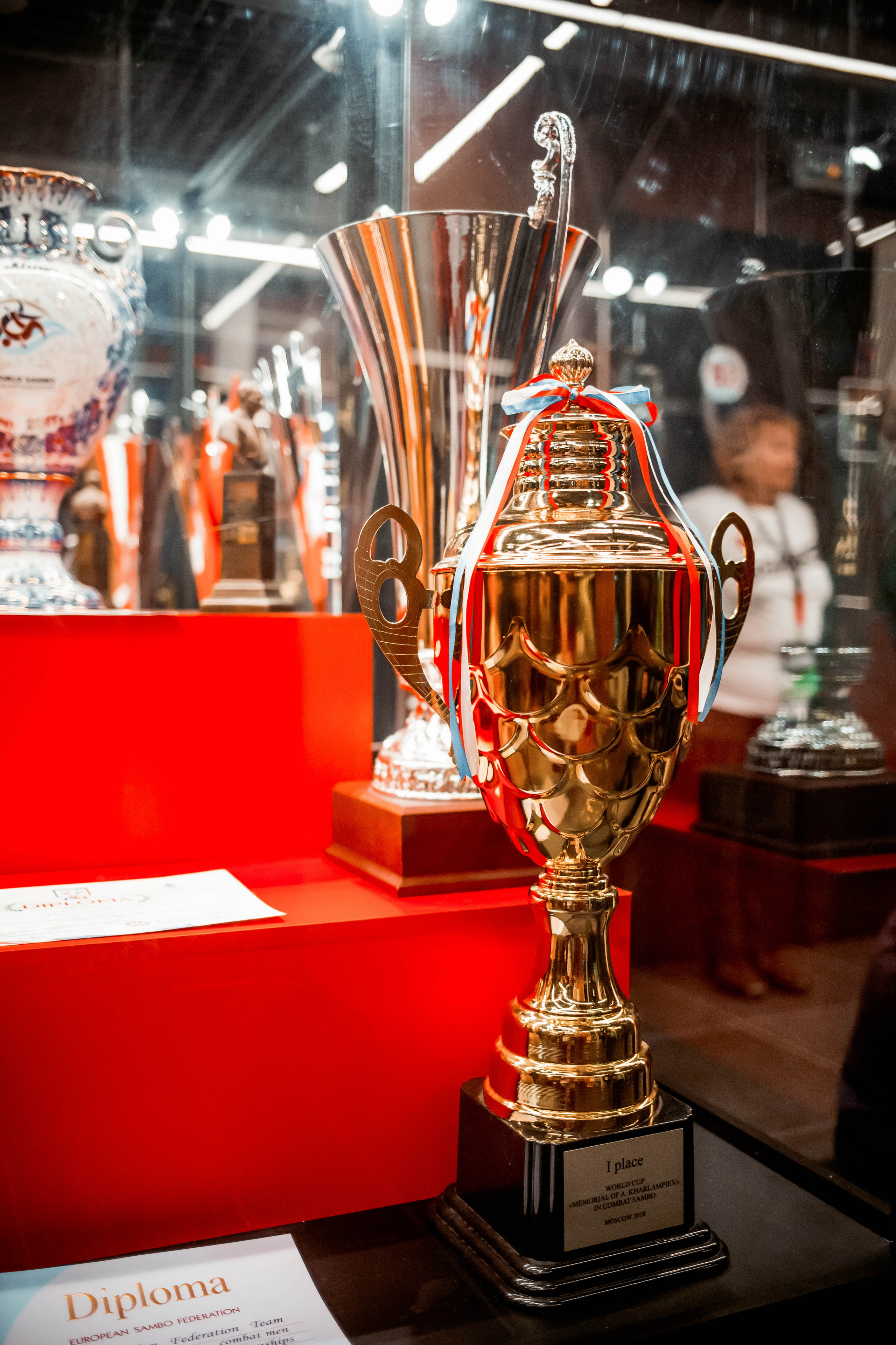 Лига Боевого Самбо. Репортажный фотограф в Сочи Дмитрий Ветринский