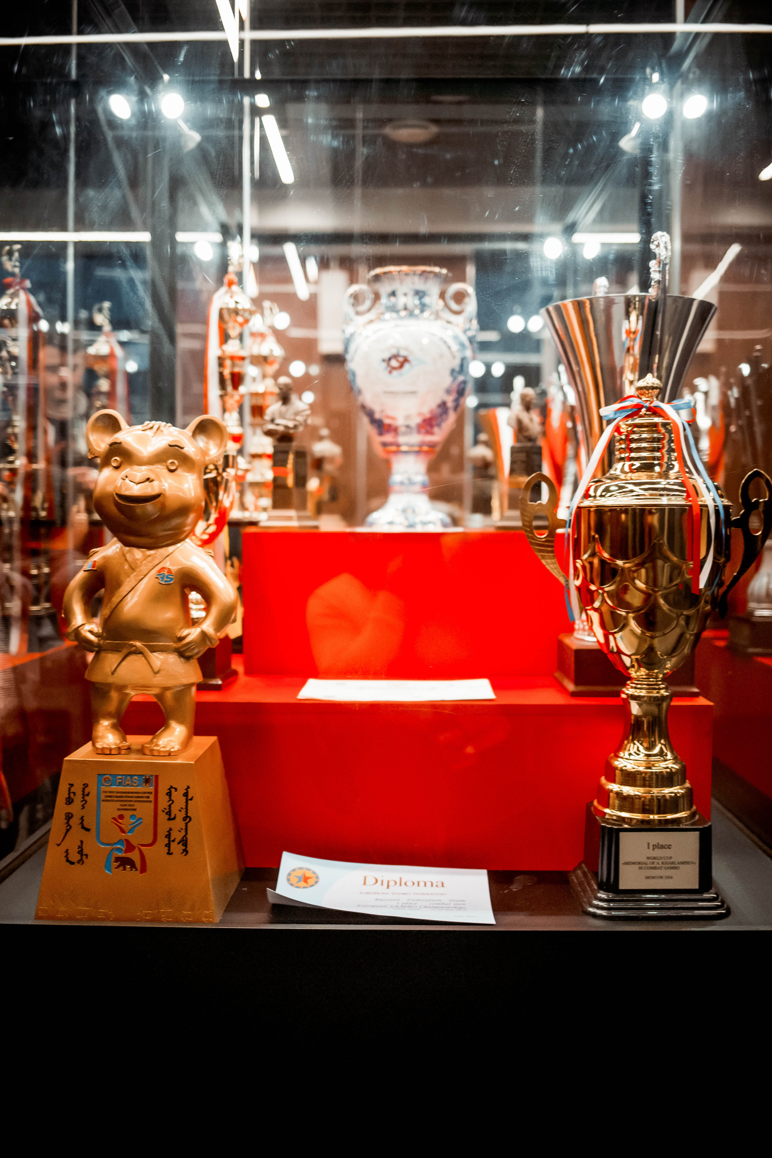 Лига Боевого Самбо. Репортажный фотограф в Сочи Дмитрий Ветринский