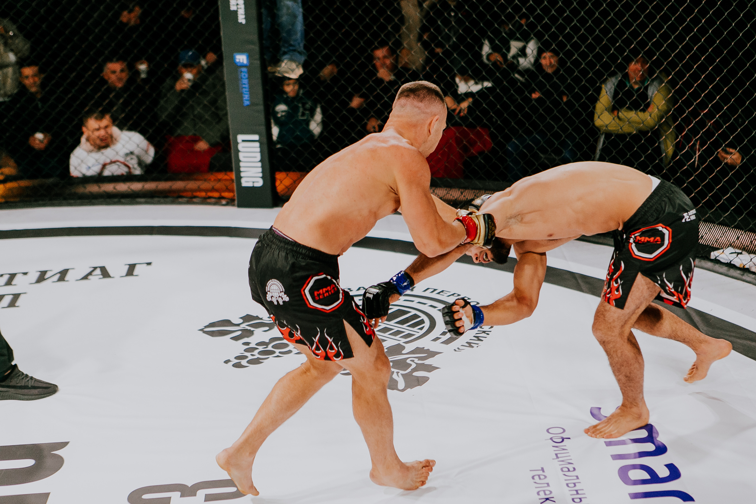 MMA SERIES 56. Репортажный фотограф в Сочи Дмитрий Ветринский