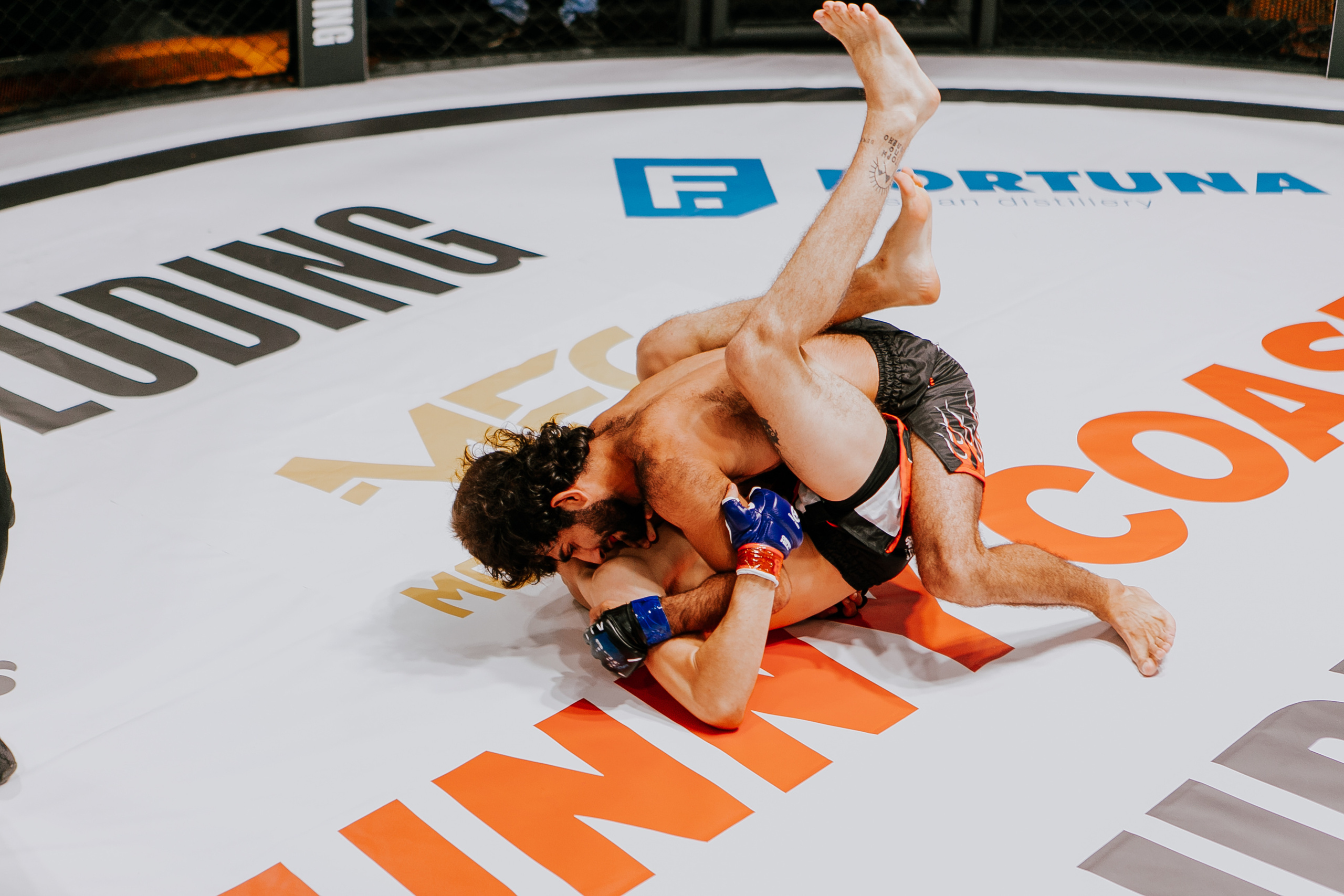 MMA SERIES 56. Репортажный фотограф в Сочи Дмитрий Ветринский