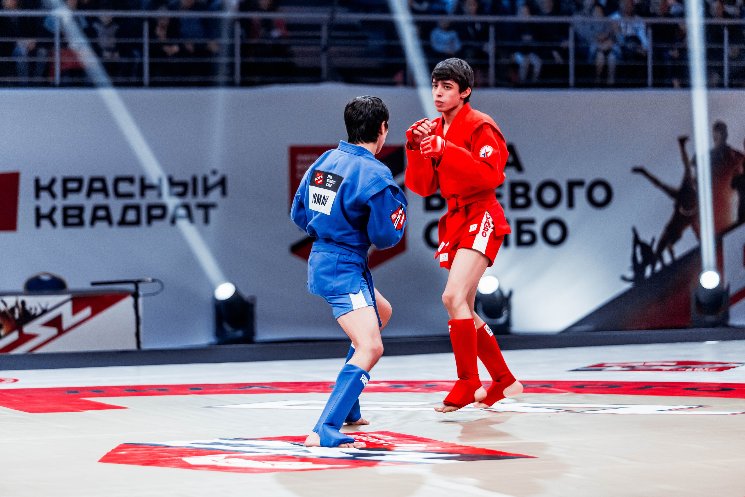 Лига Боевого Самбо. Репортажный фотограф в Сочи Дмитрий Ветринский