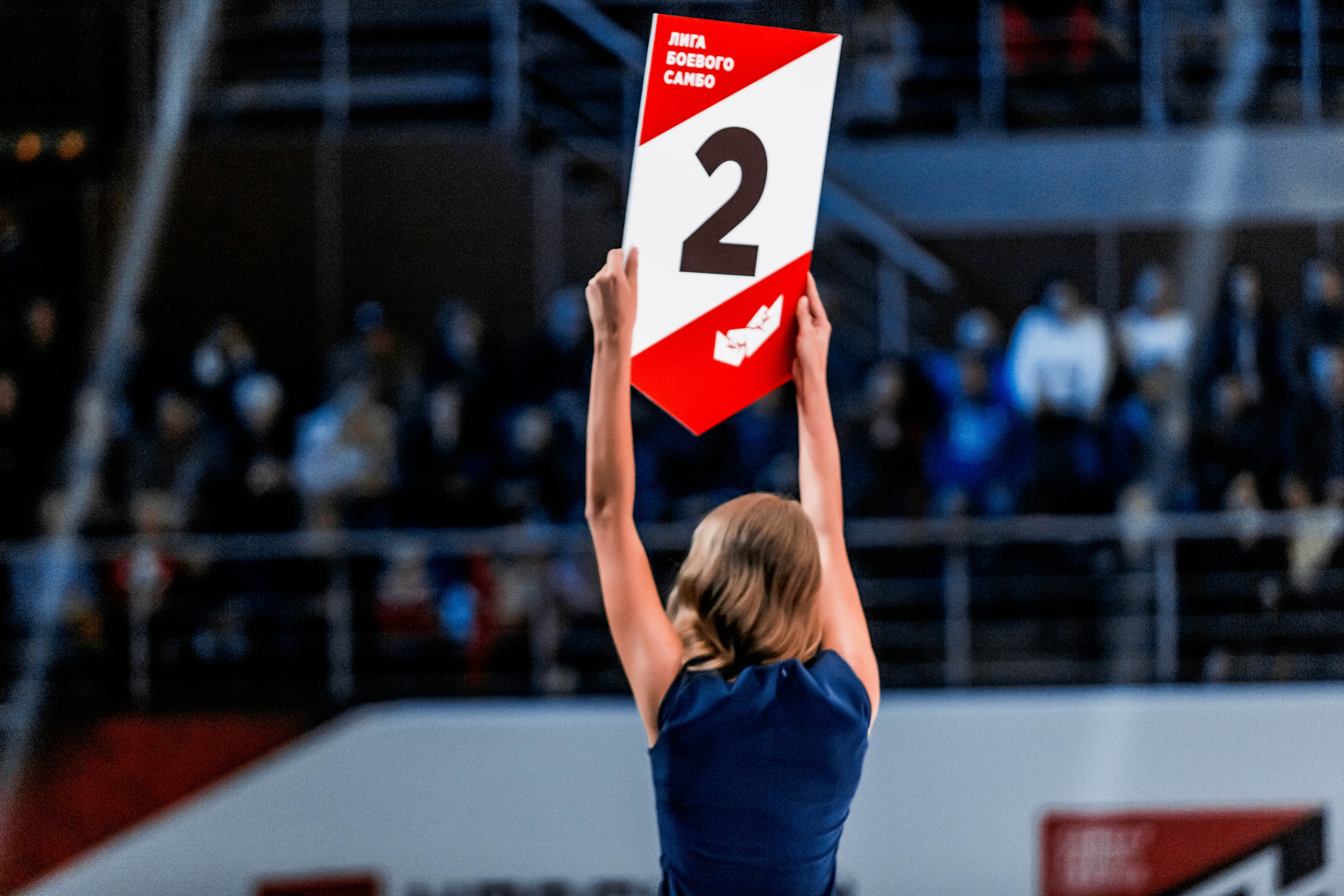 Лига Боевого Самбо. Репортажный фотограф в Сочи Дмитрий Ветринский