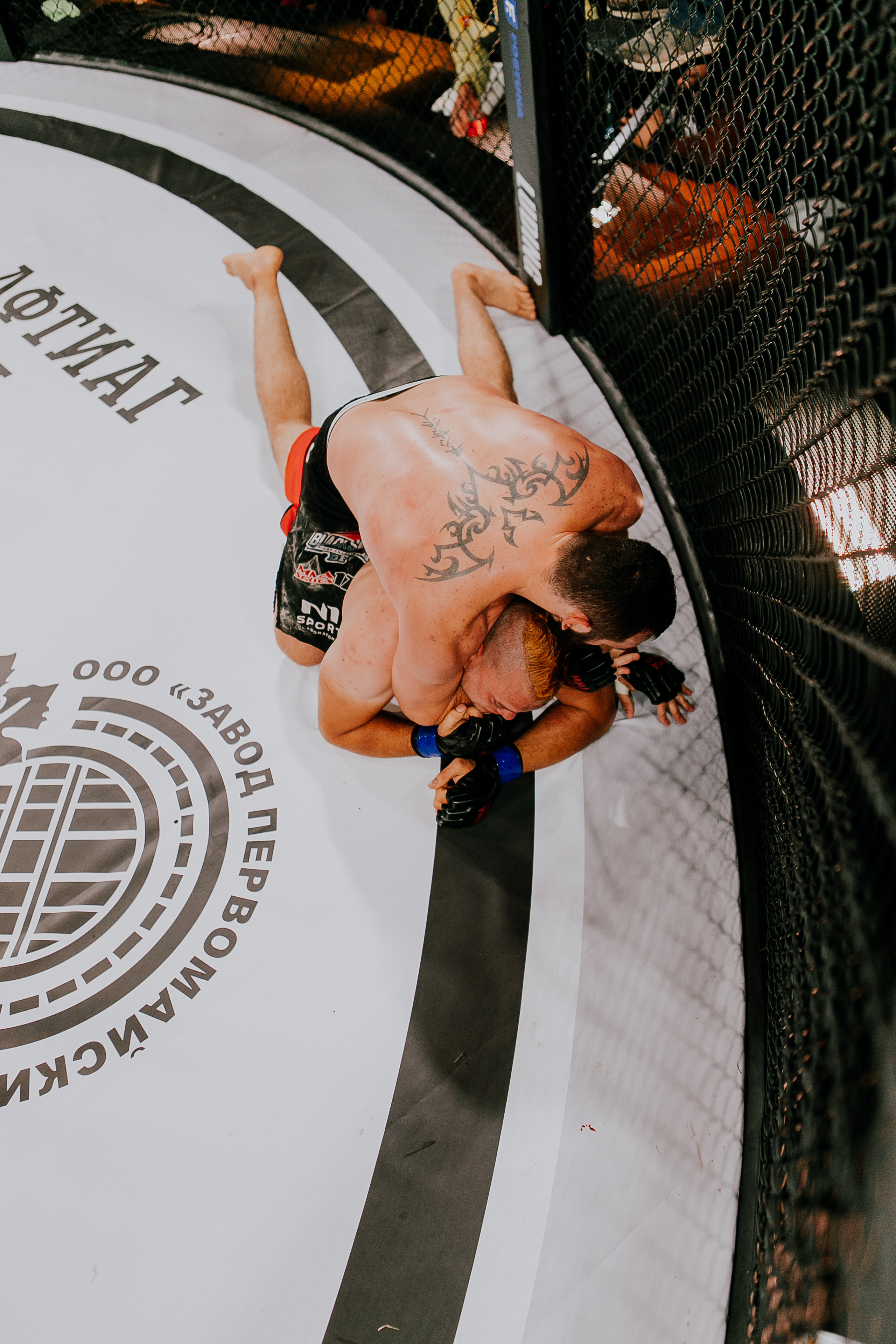 MMA SERIES 56. Репортажный фотограф в Сочи Дмитрий Ветринский