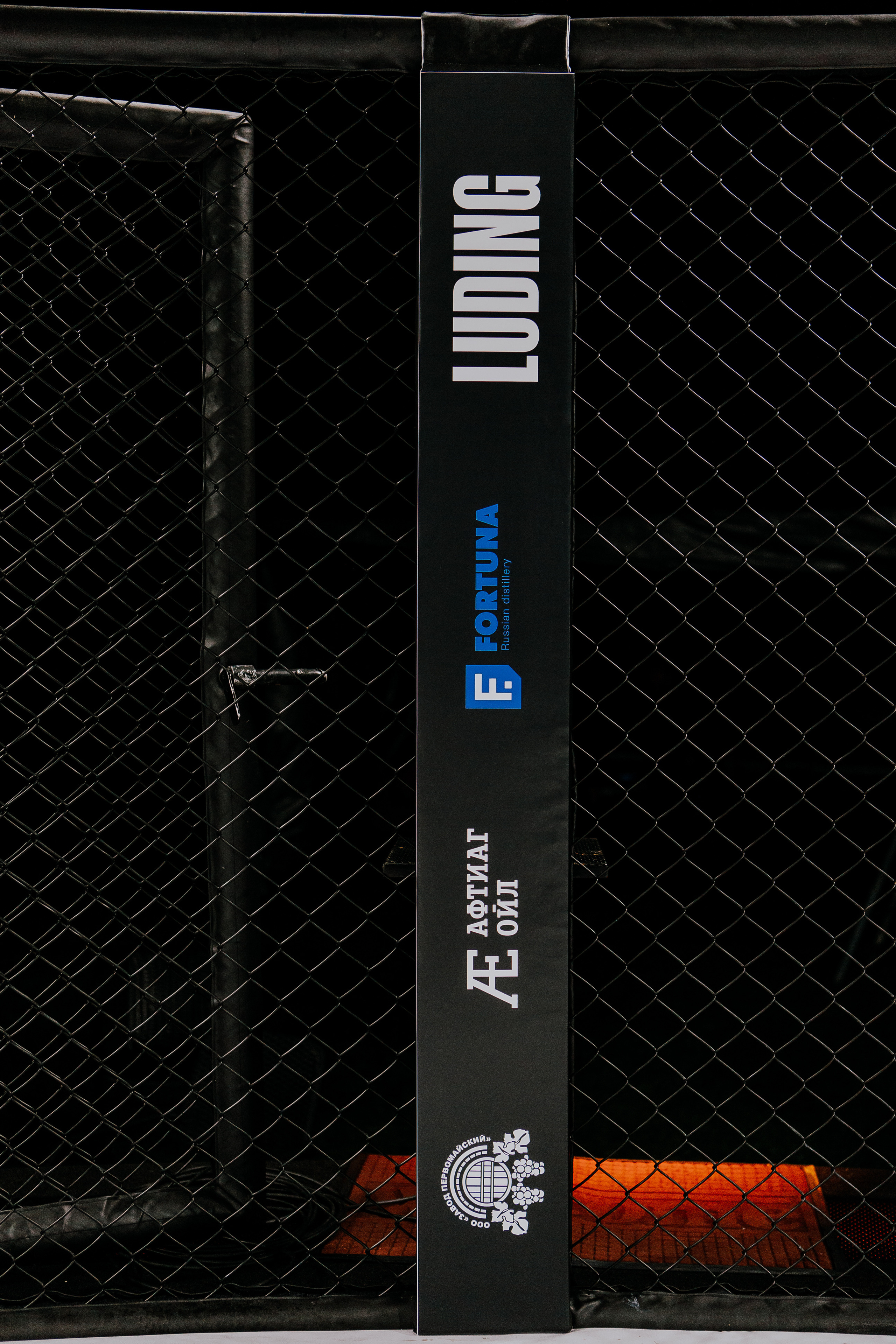 MMA SERIES 56. Репортажный фотограф в Сочи Дмитрий Ветринский