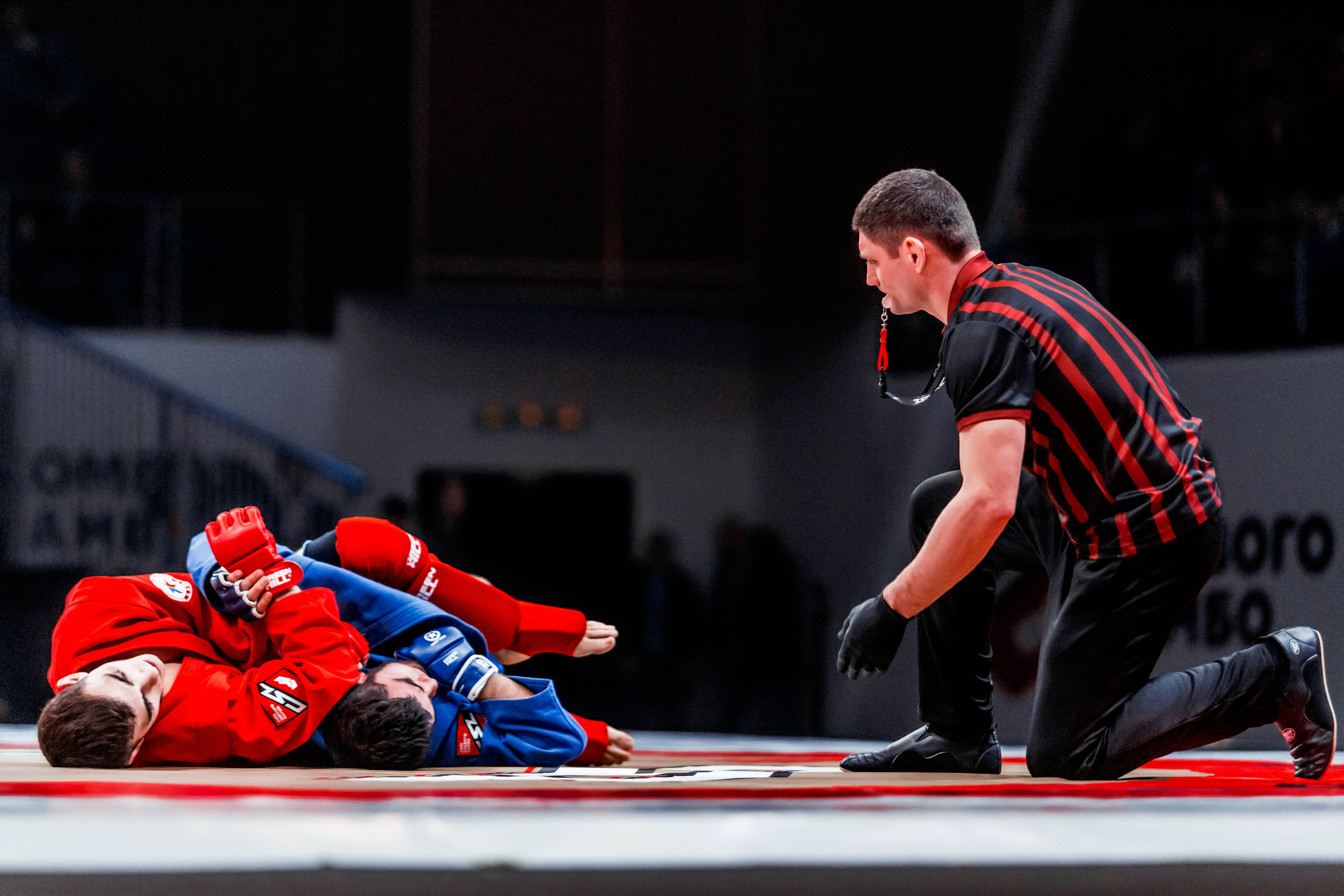 Лига Боевого Самбо. Репортажный фотограф в Сочи Дмитрий Ветринский