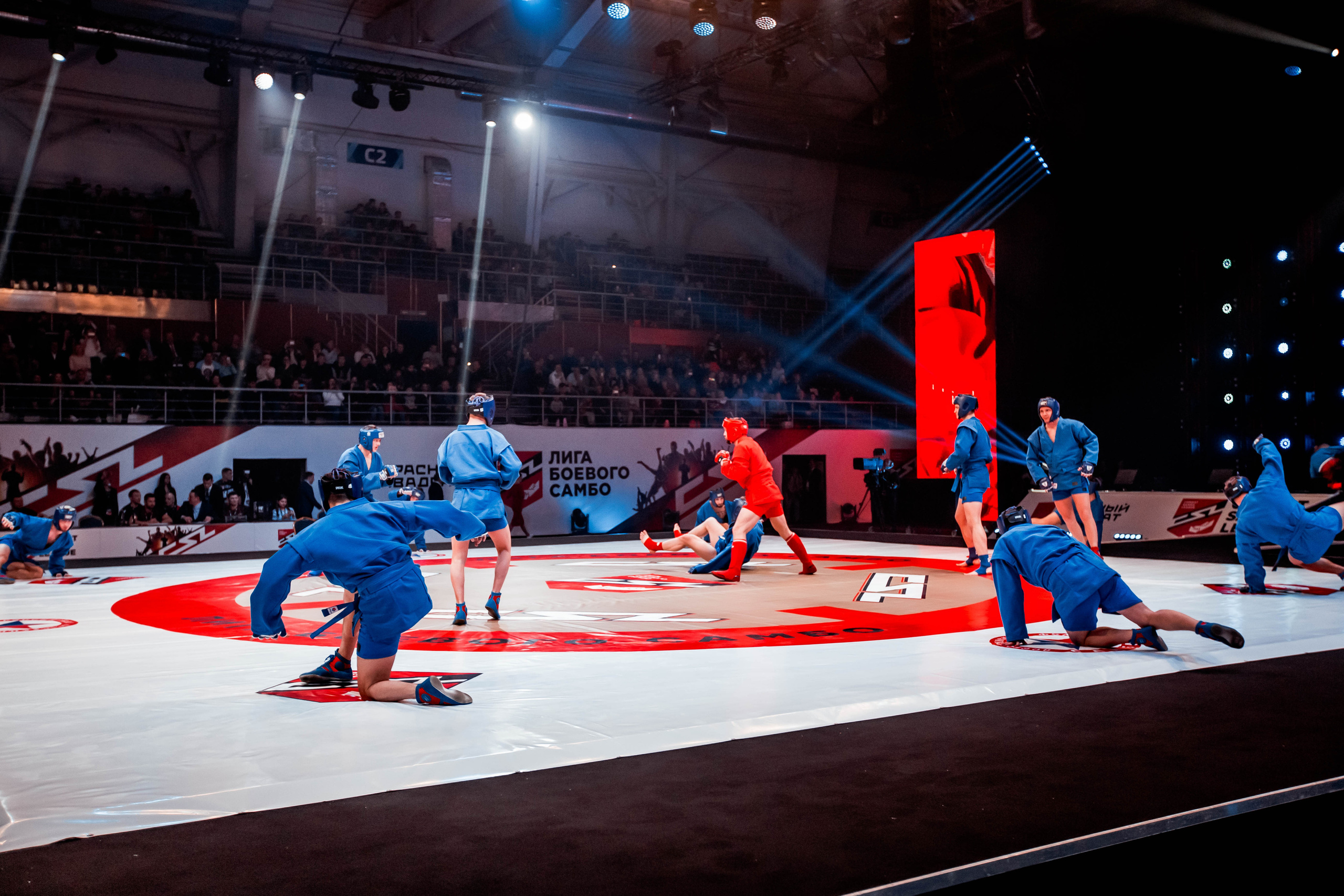 Лига Боевого Самбо. Репортажный фотограф в Сочи Дмитрий Ветринский