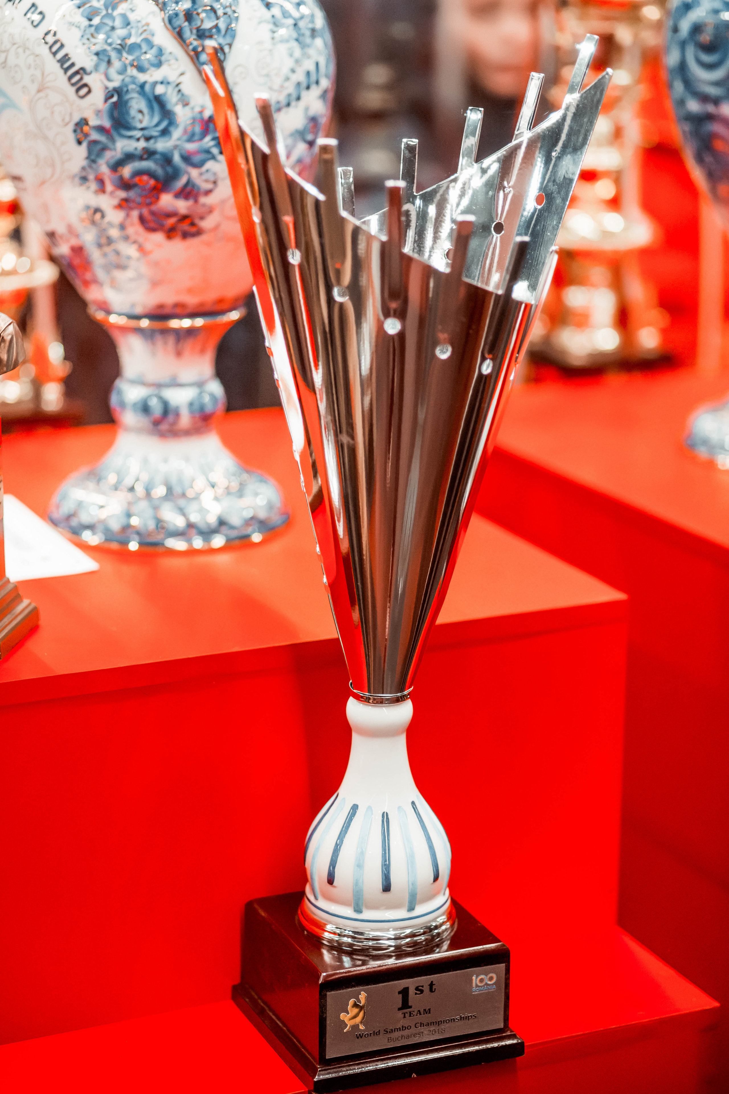 Лига Боевого Самбо. Репортажный фотограф в Сочи Дмитрий Ветринский