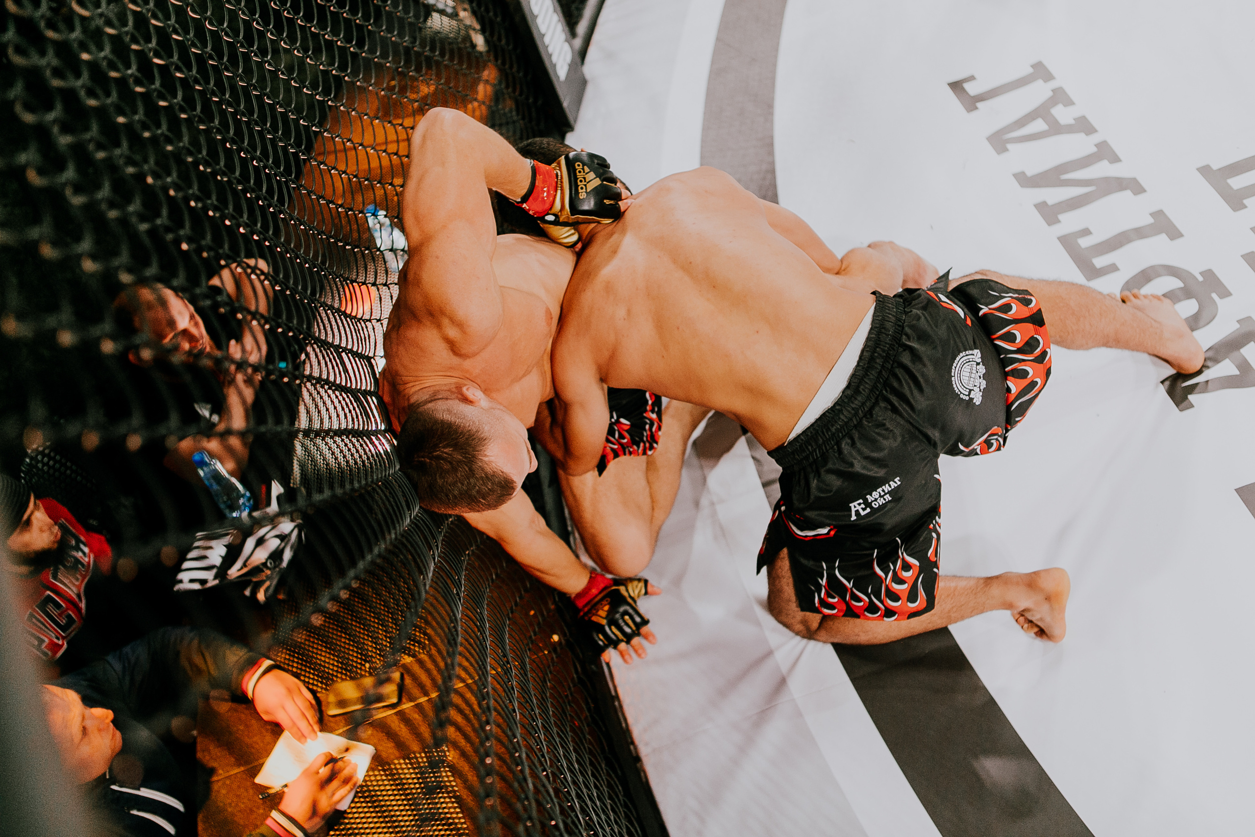 MMA SERIES 56. Репортажный фотограф в Сочи Дмитрий Ветринский