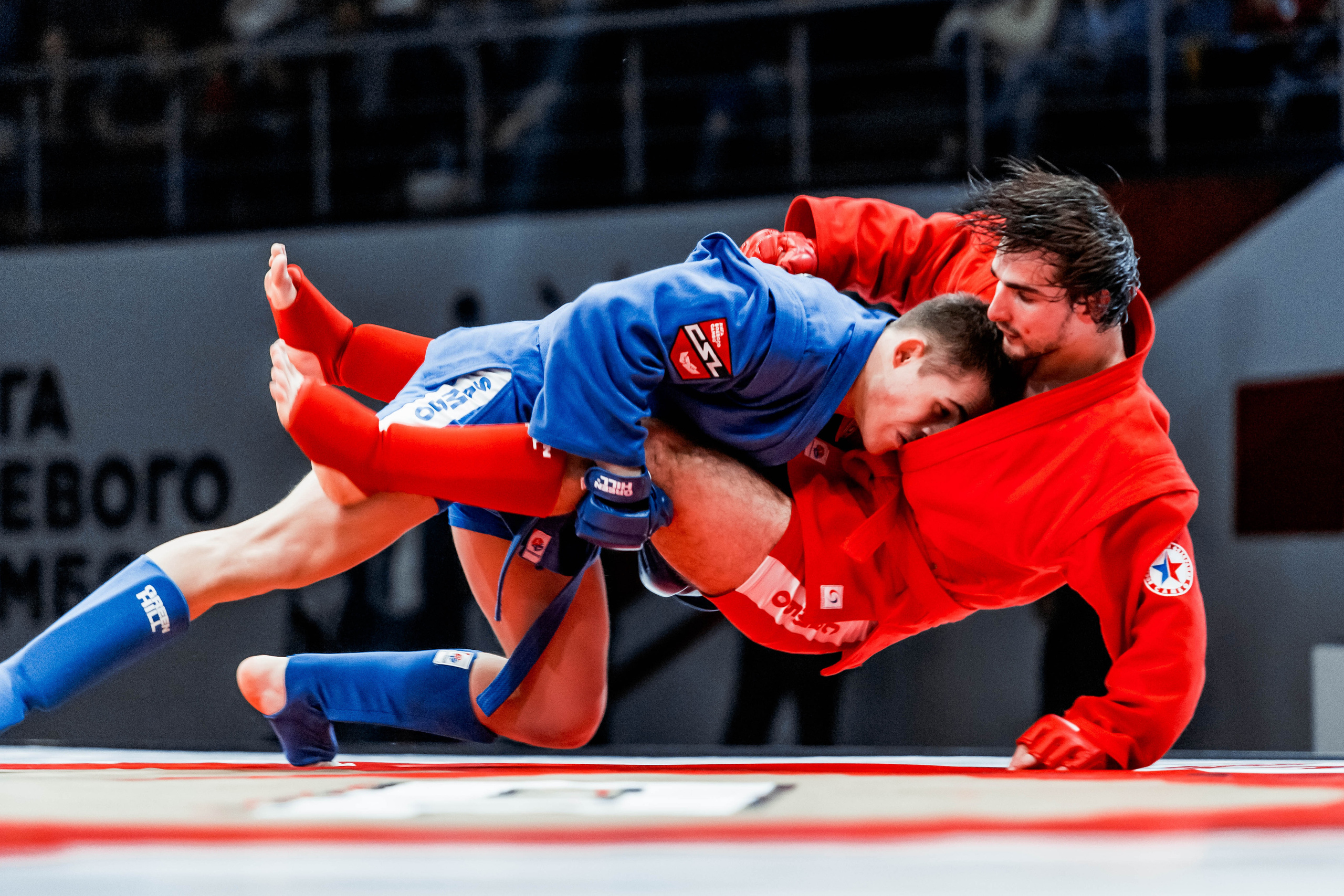 Лига Боевого Самбо. Репортажный фотограф в Сочи Дмитрий Ветринский