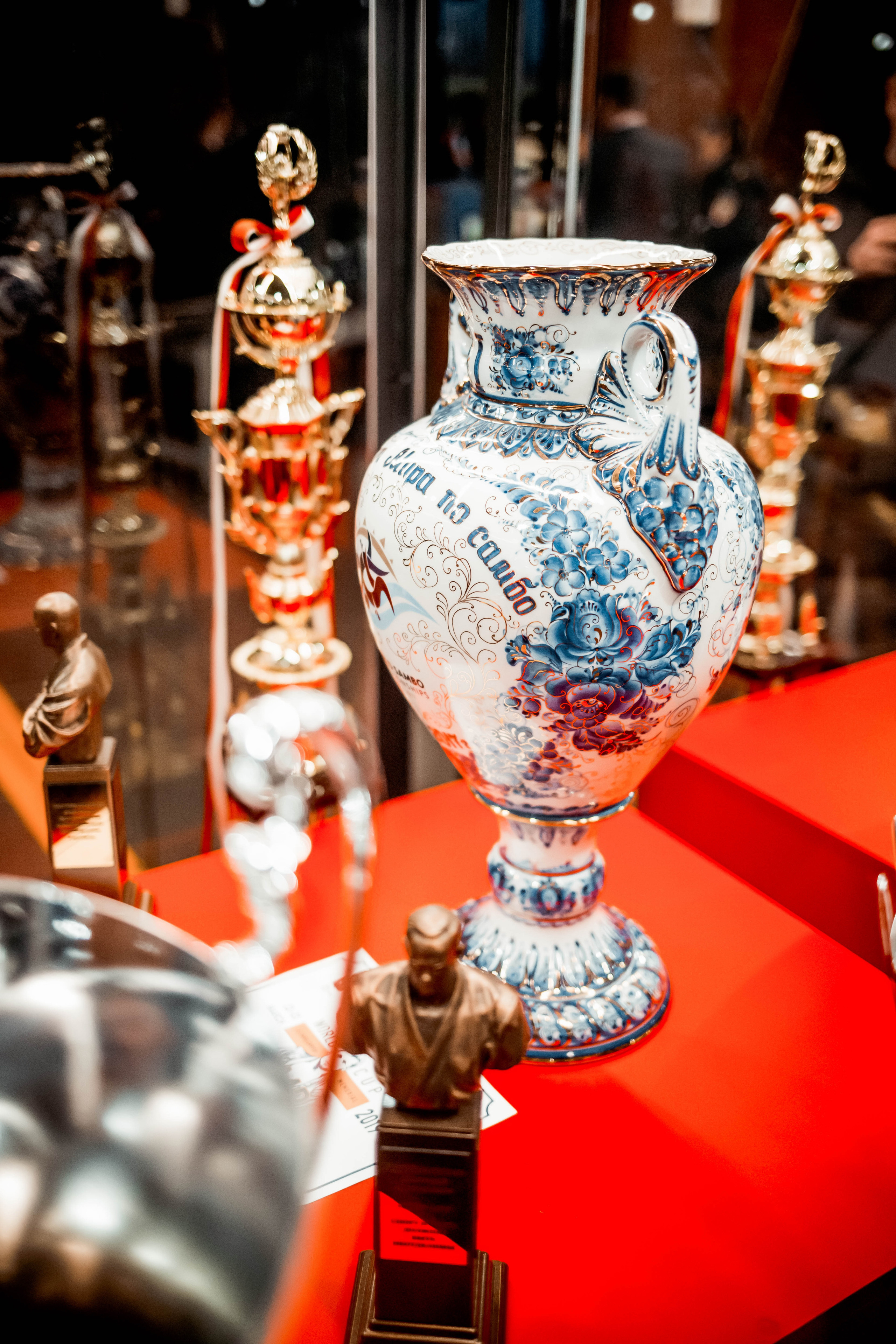 Лига Боевого Самбо. Репортажный фотограф в Сочи Дмитрий Ветринский