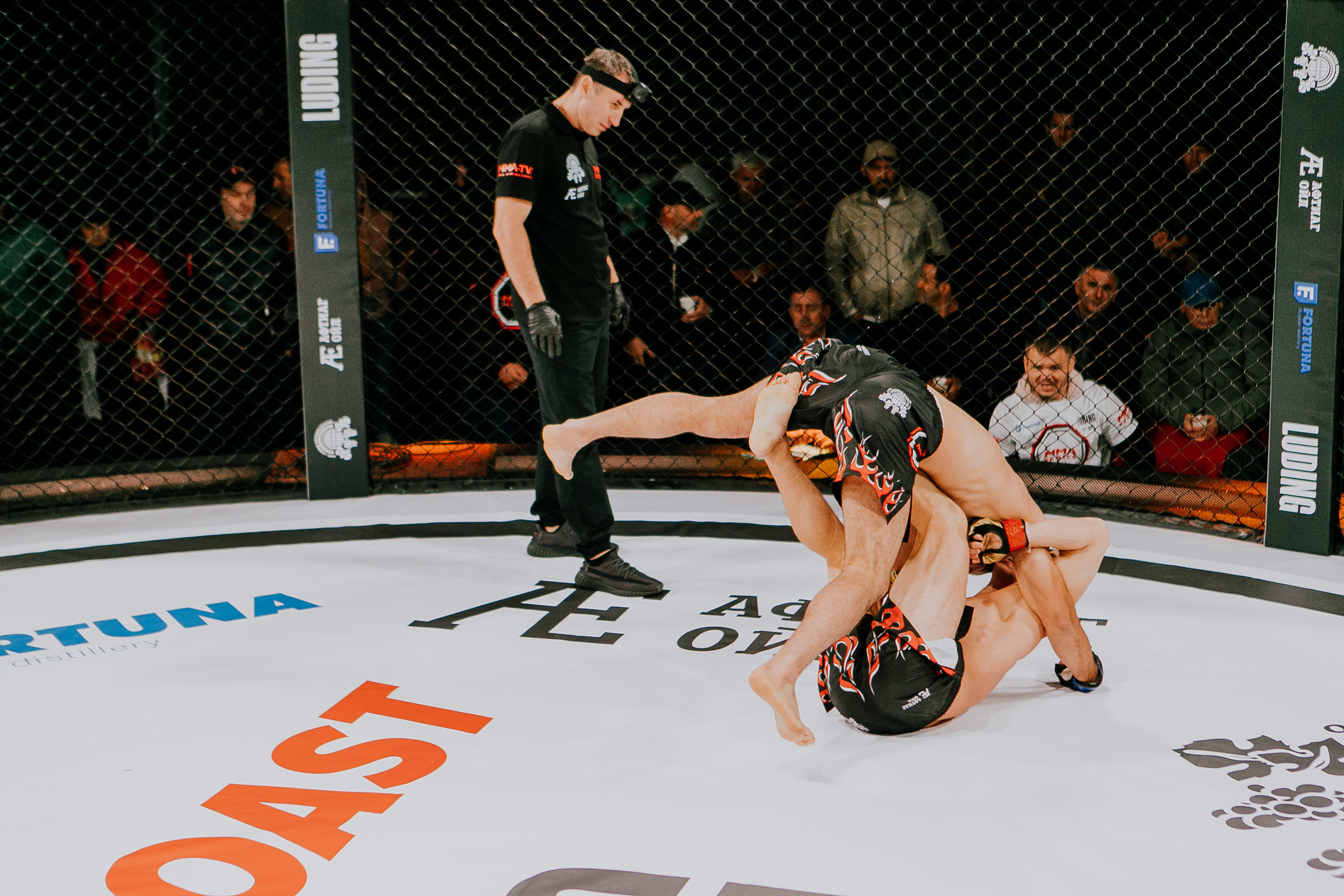 MMA SERIES 56. Репортажный фотограф в Сочи Дмитрий Ветринский