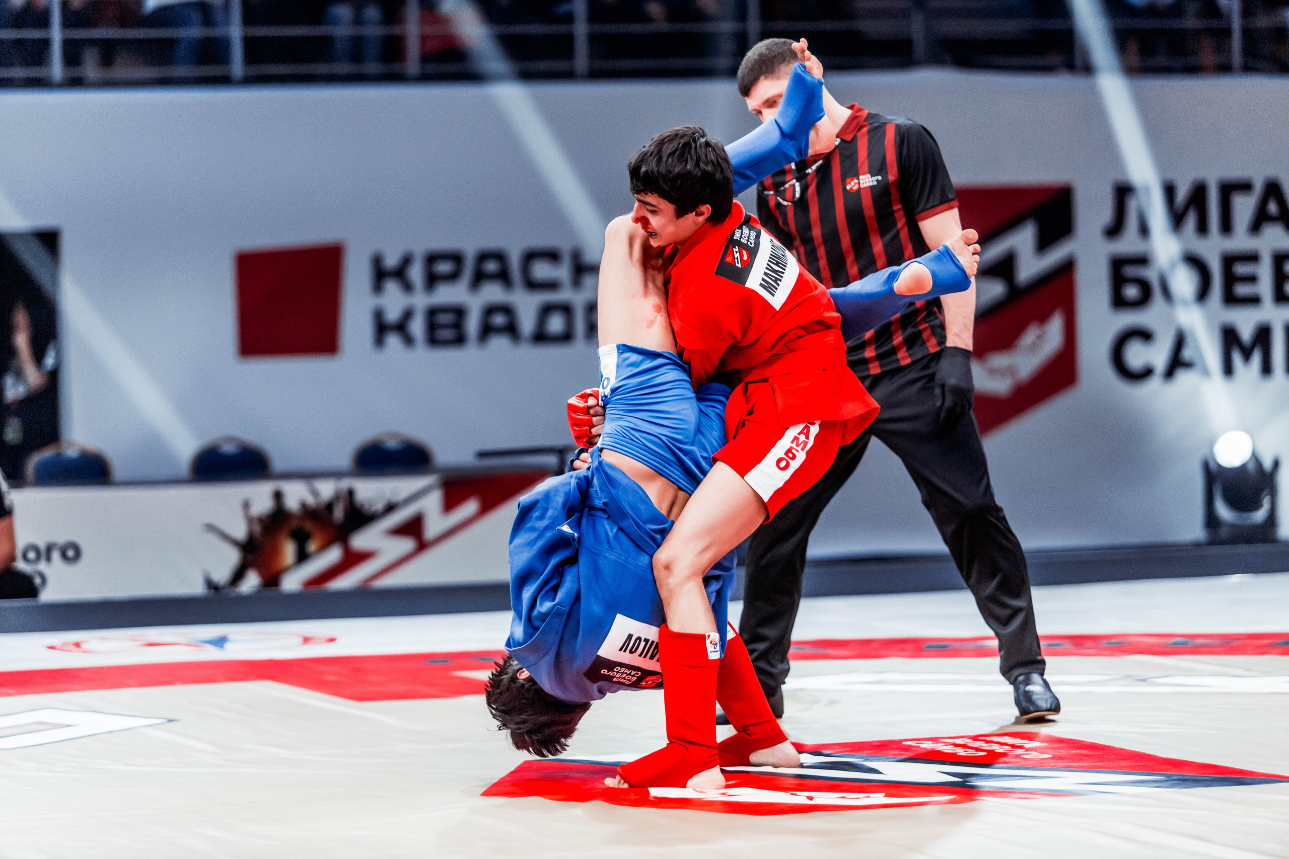 Лига Боевого Самбо. Репортажный фотограф в Сочи Дмитрий Ветринский
