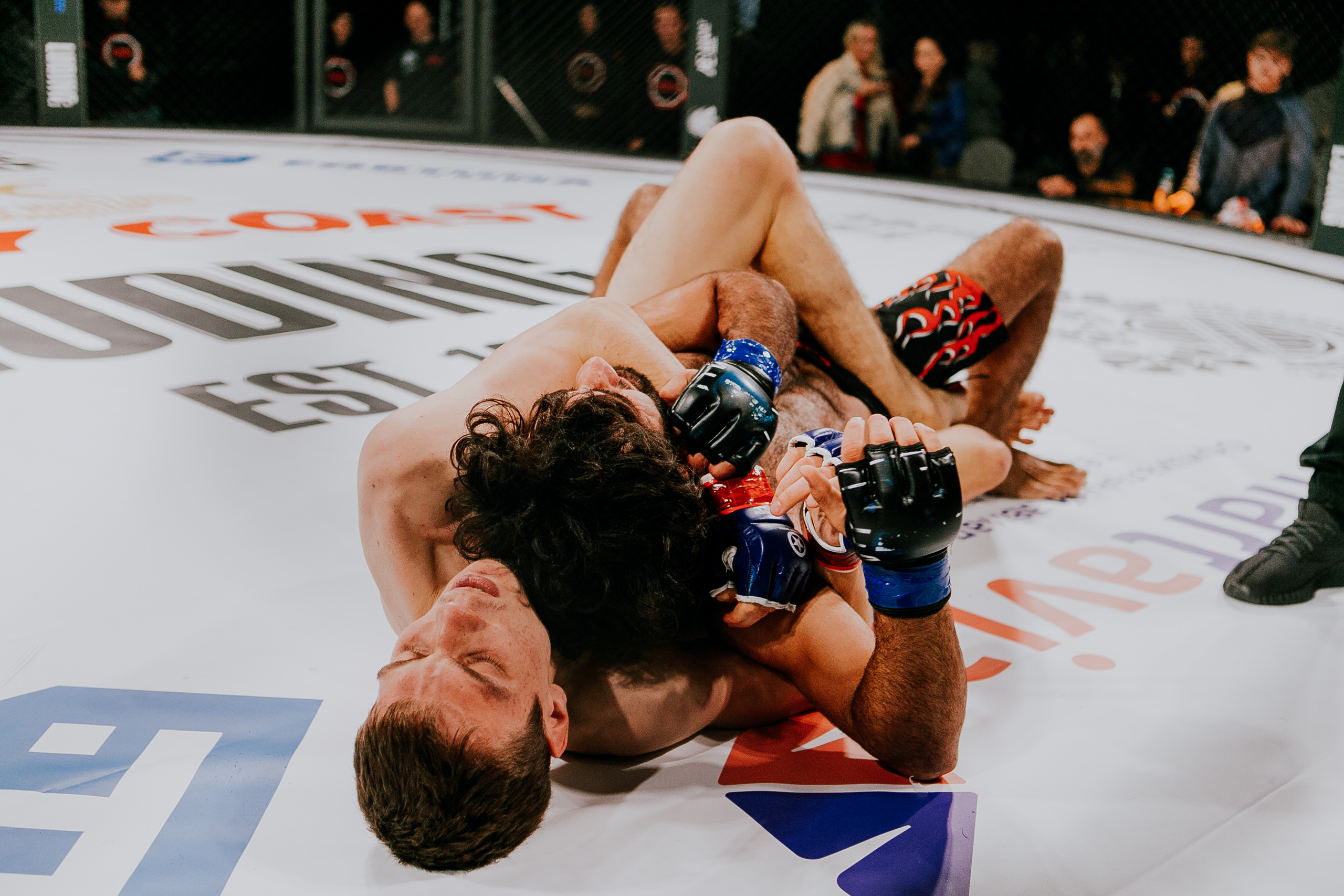 MMA SERIES 56. Репортажный фотограф в Сочи Дмитрий Ветринский