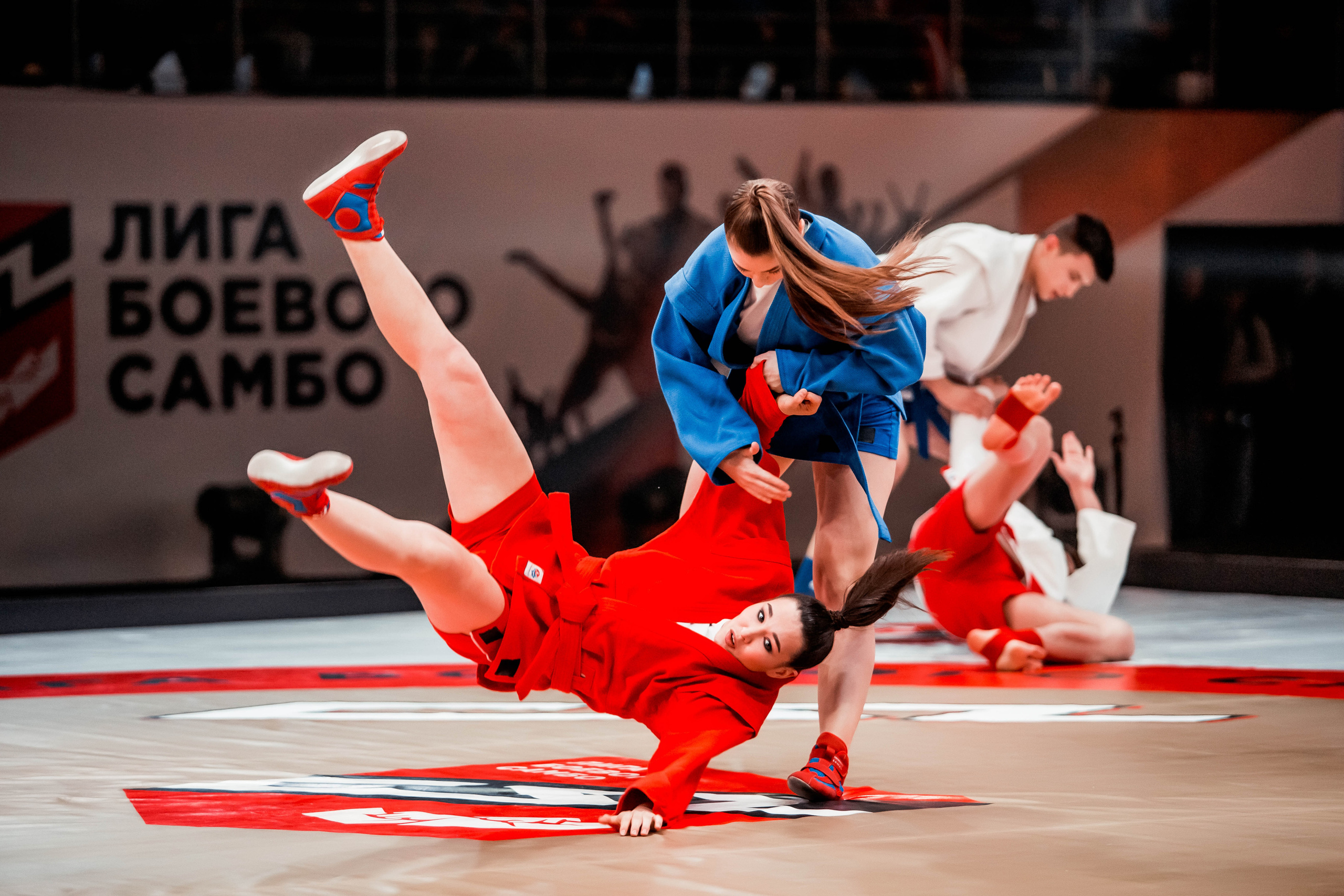 Лига Боевого Самбо. Репортажный фотограф в Сочи Дмитрий Ветринский