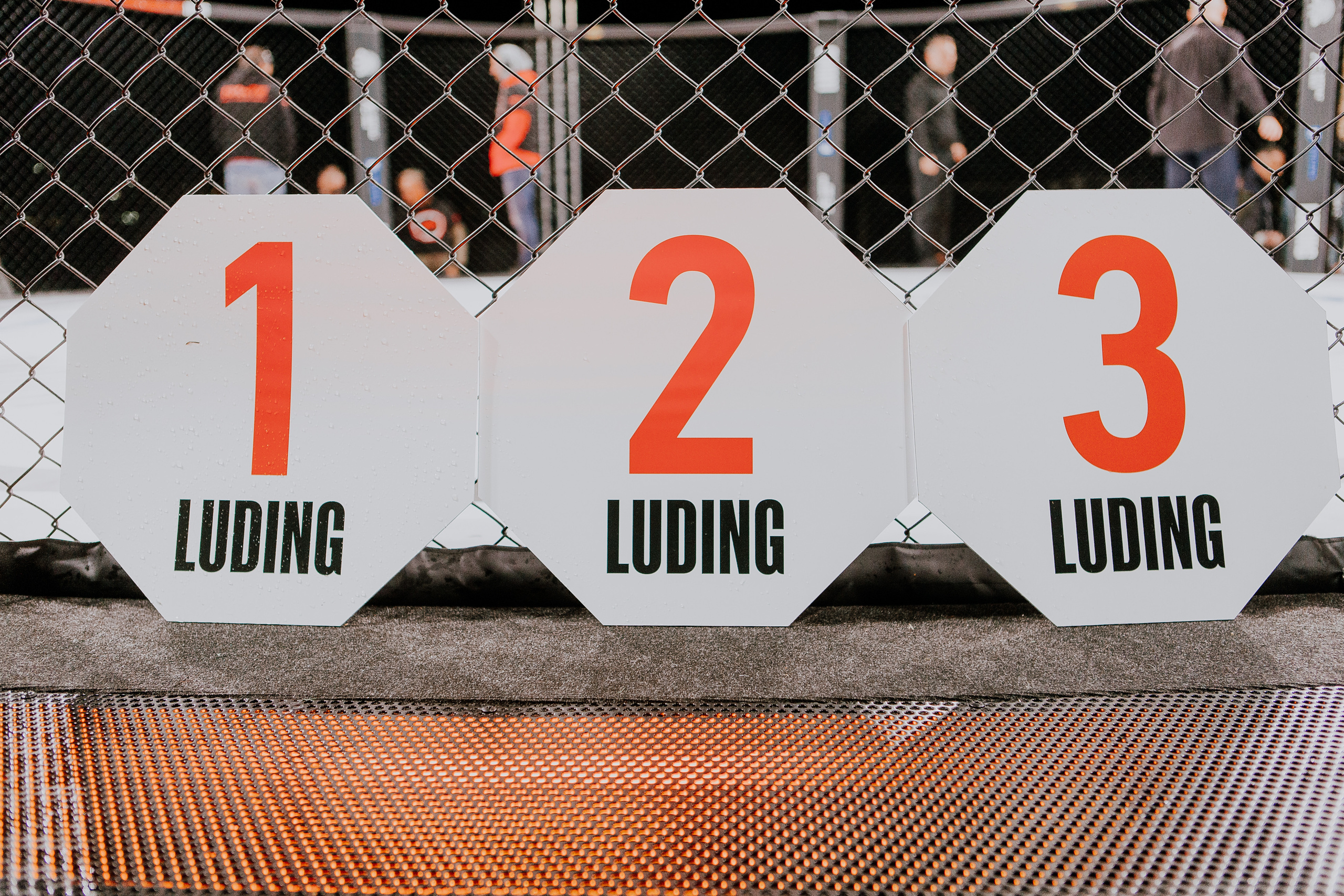 MMA SERIES 56. Репортажный фотограф в Сочи Дмитрий Ветринский