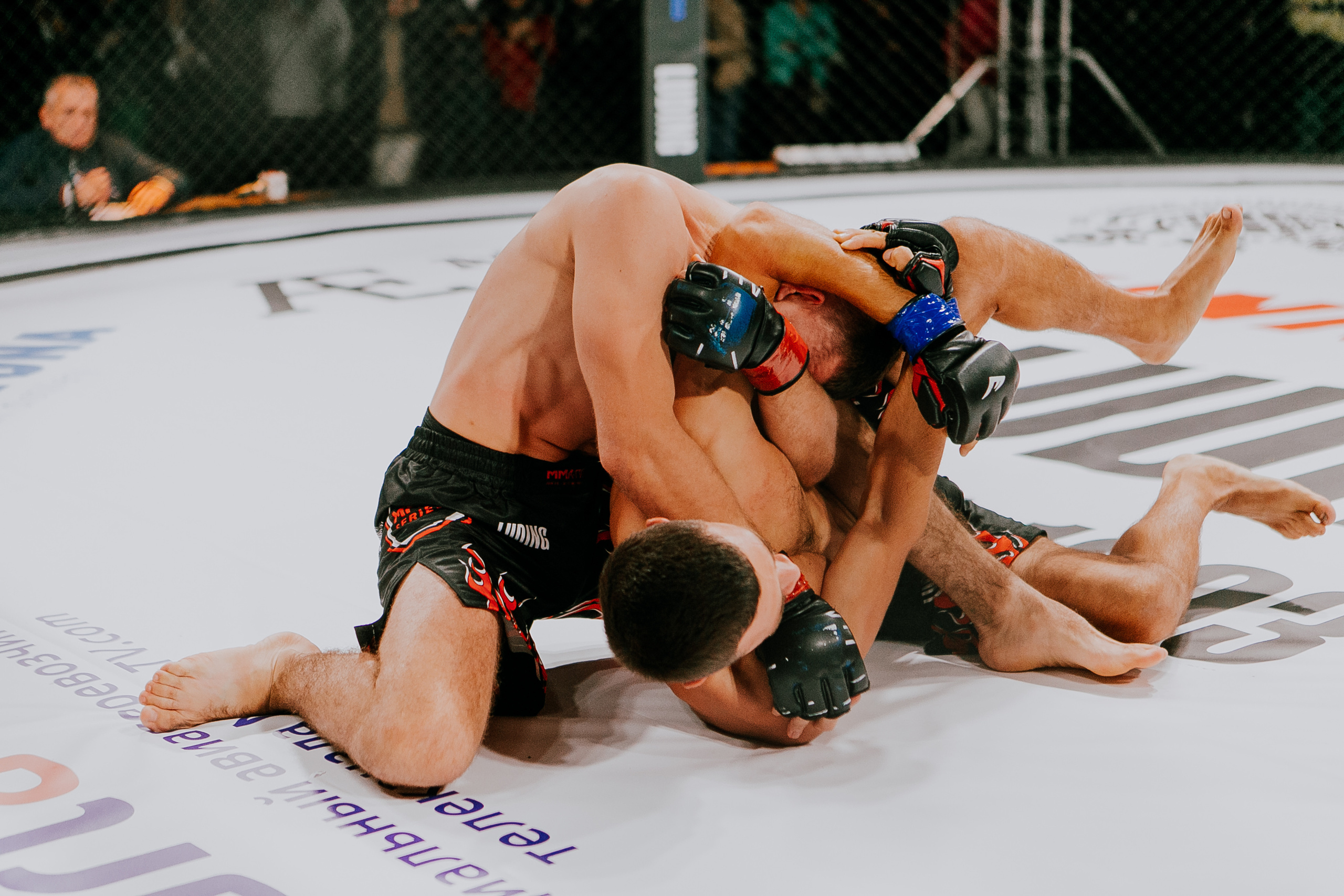 MMA SERIES 56. Репортажный фотограф в Сочи Дмитрий Ветринский