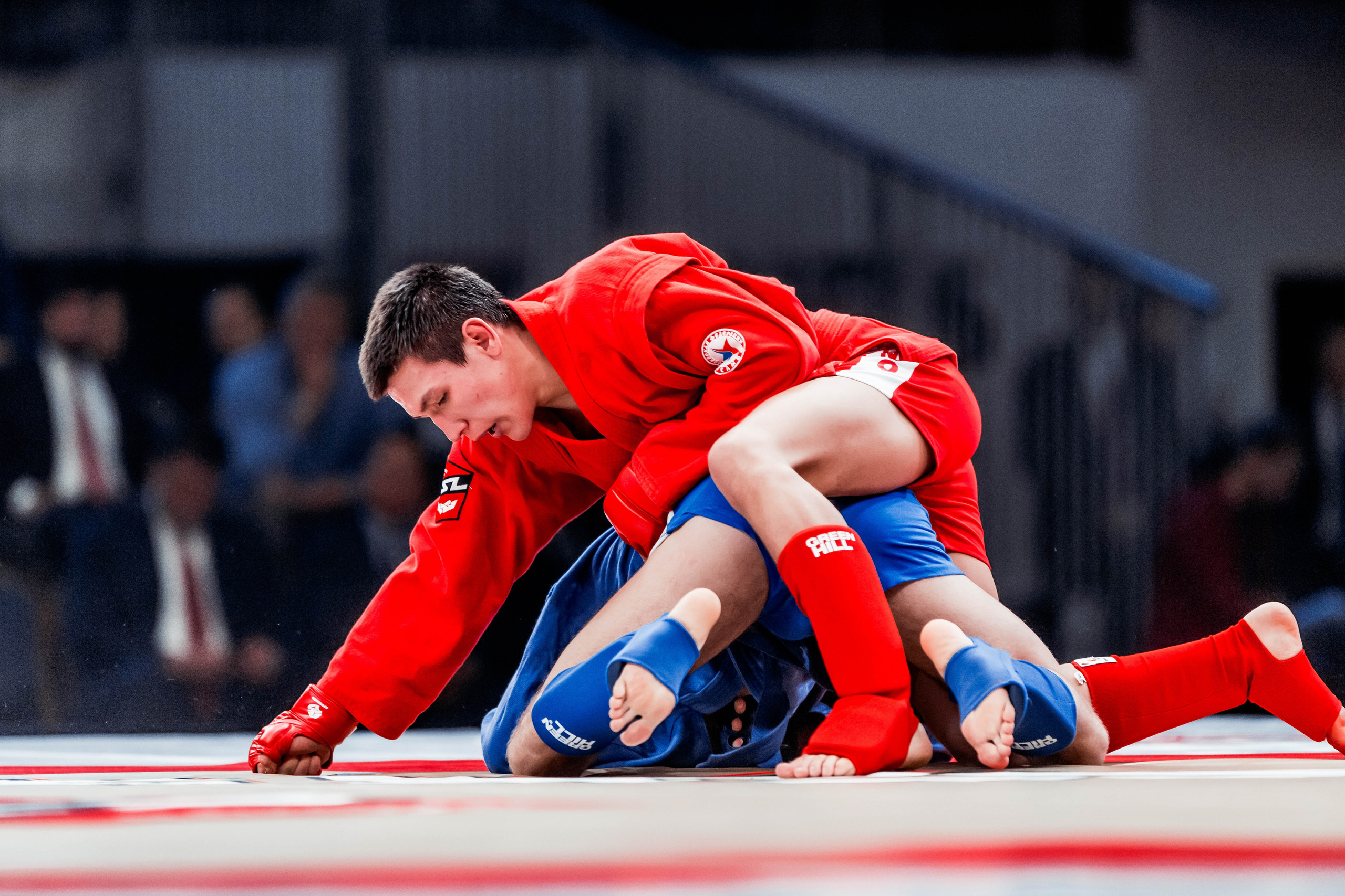 Лига Боевого Самбо. Репортажный фотограф в Сочи Дмитрий Ветринский