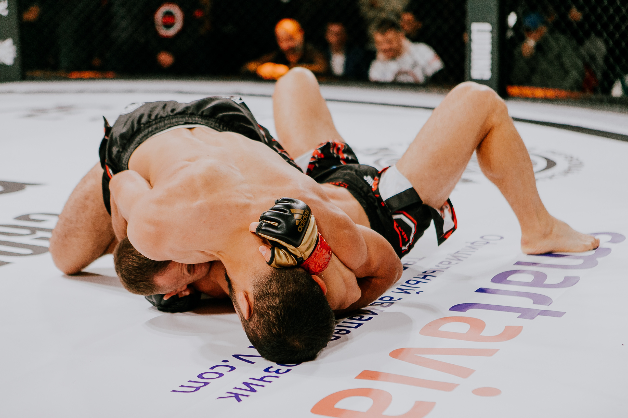 MMA SERIES 56. Репортажный фотограф в Сочи Дмитрий Ветринский