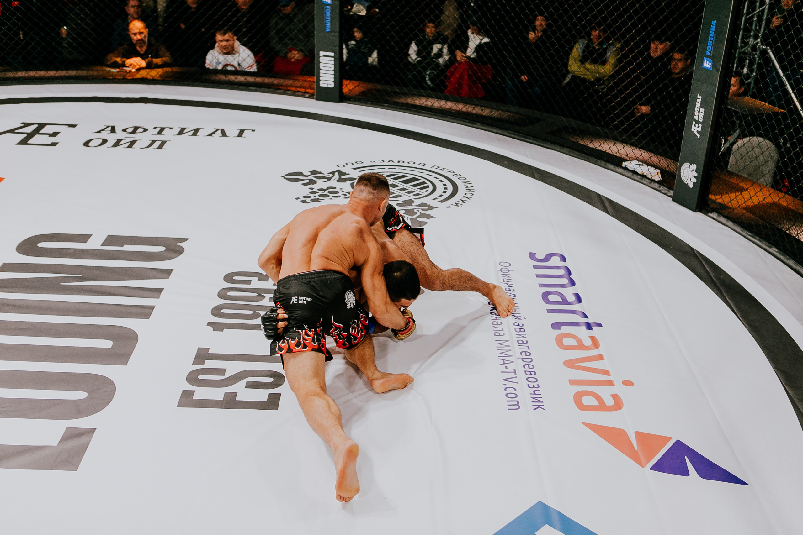 MMA SERIES 56. Репортажный фотограф в Сочи Дмитрий Ветринский
