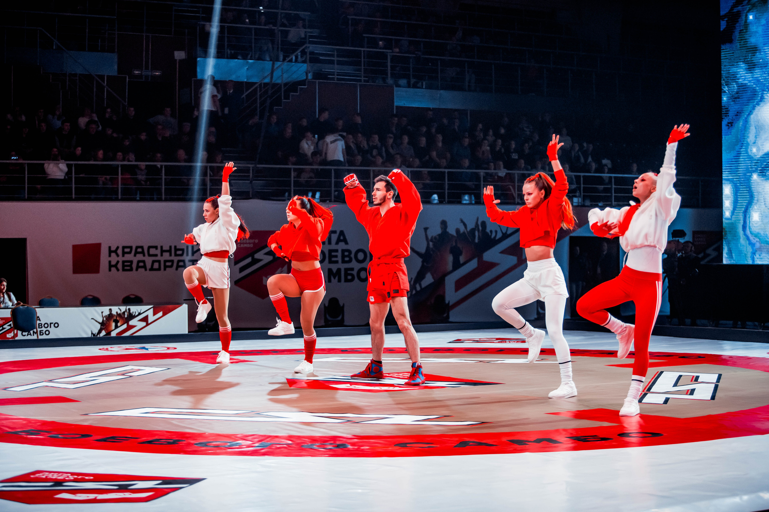 Лига Боевого Самбо. Репортажный фотограф в Сочи Дмитрий Ветринский