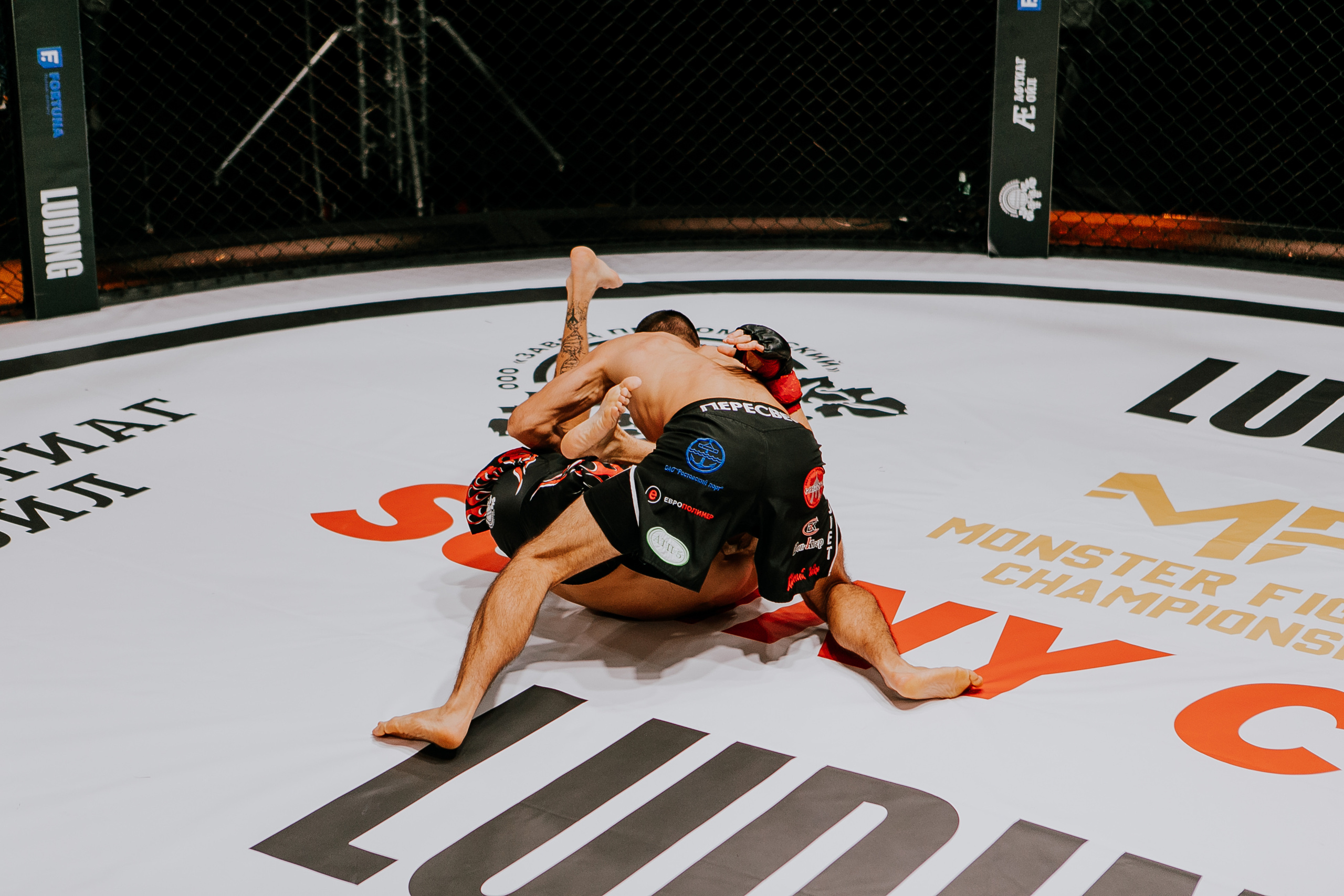 MMA SERIES 56. Репортажный фотограф в Сочи Дмитрий Ветринский