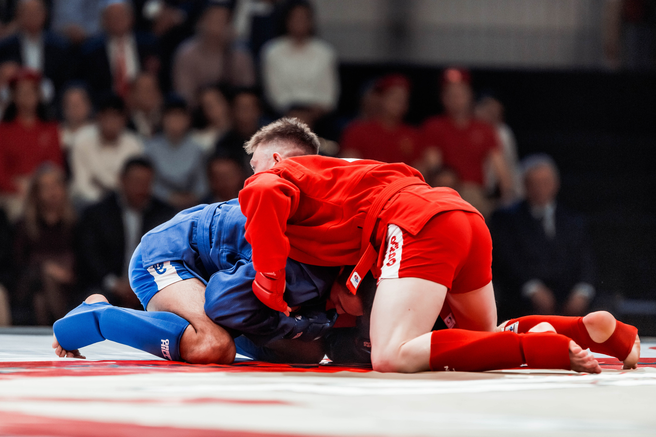 Лига Боевого Самбо. Репортажный фотограф в Сочи Дмитрий Ветринский