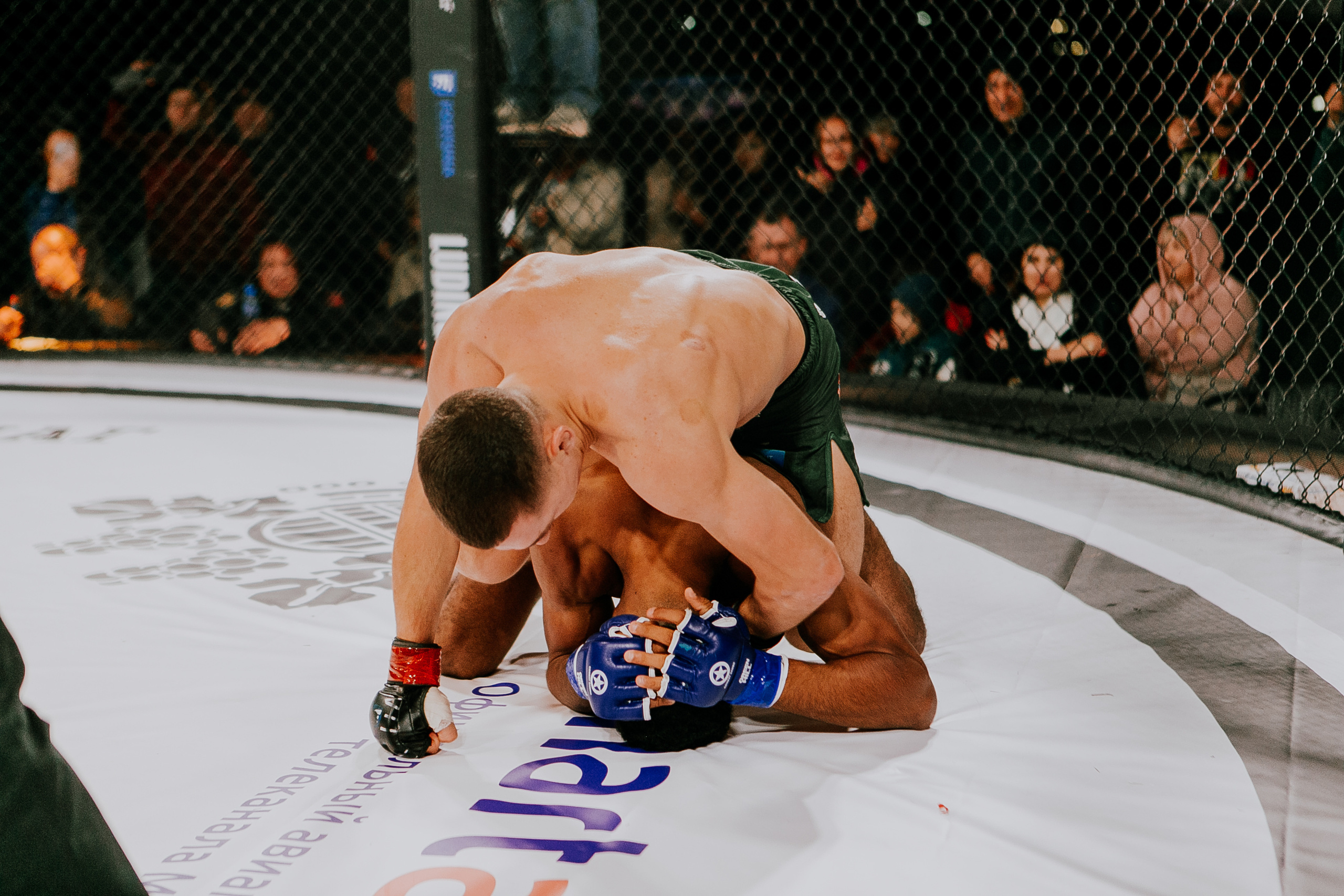 MMA SERIES 56. Репортажный фотограф в Сочи Дмитрий Ветринский