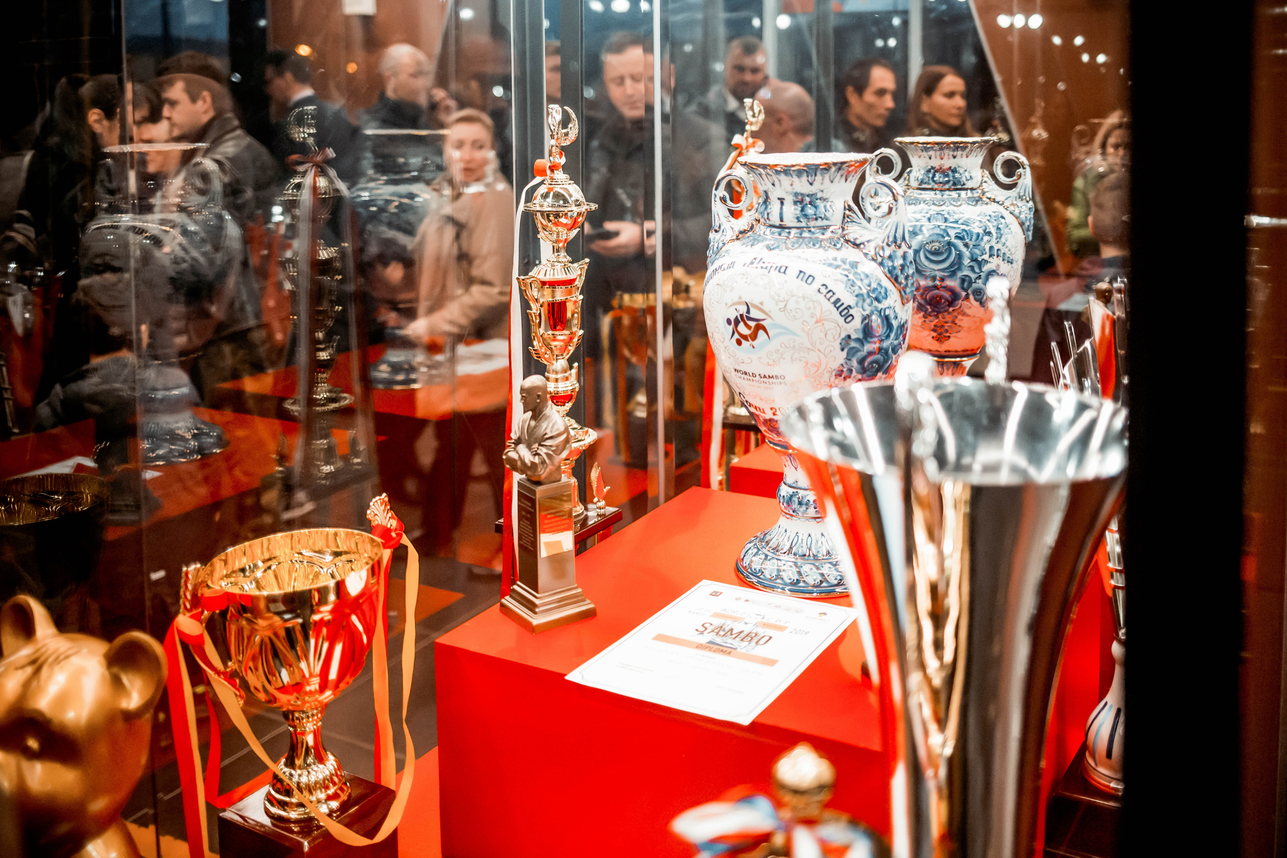 Лига Боевого Самбо. Репортажный фотограф в Сочи Дмитрий Ветринский