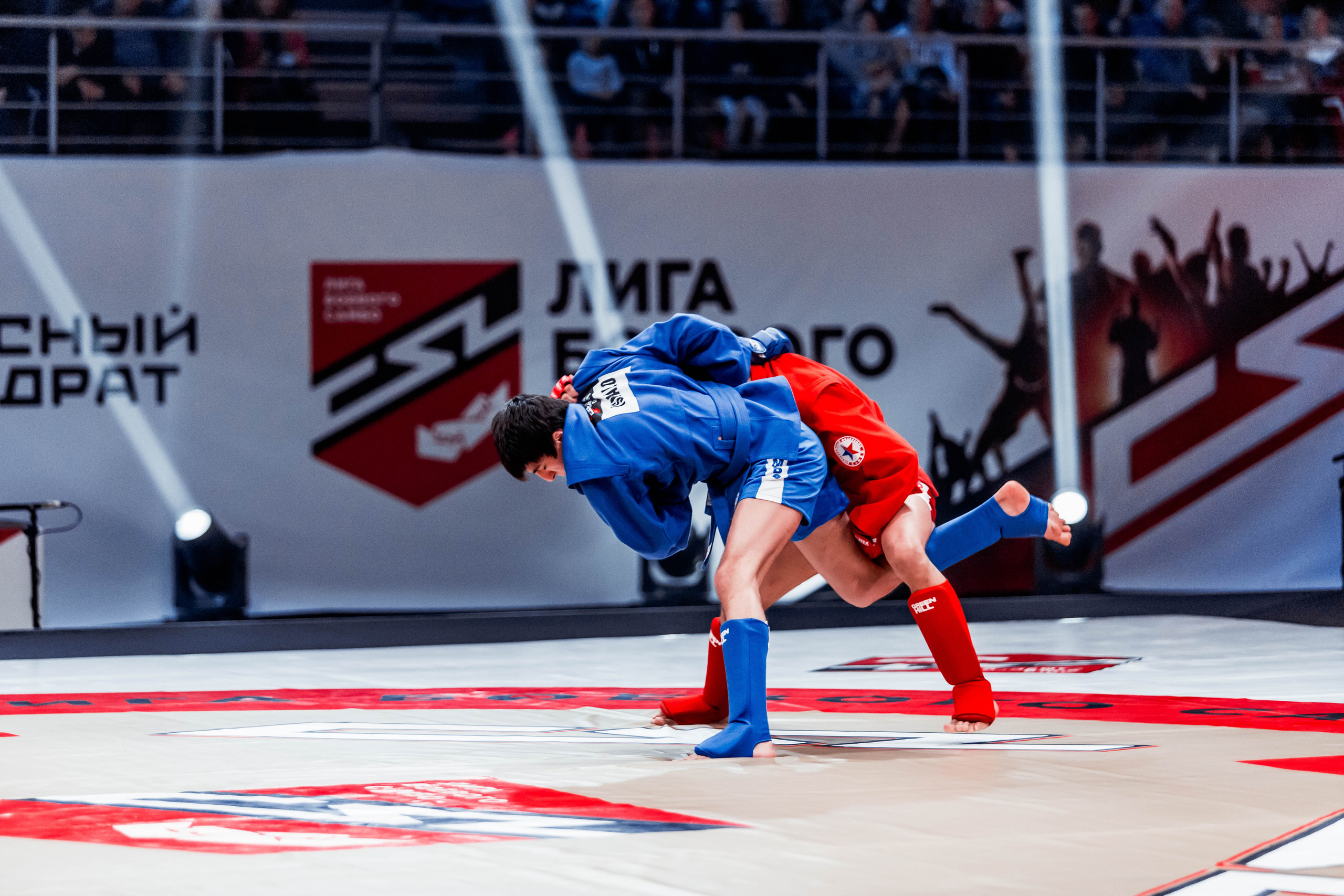 Лига Боевого Самбо. Репортажный фотограф в Сочи Дмитрий Ветринский