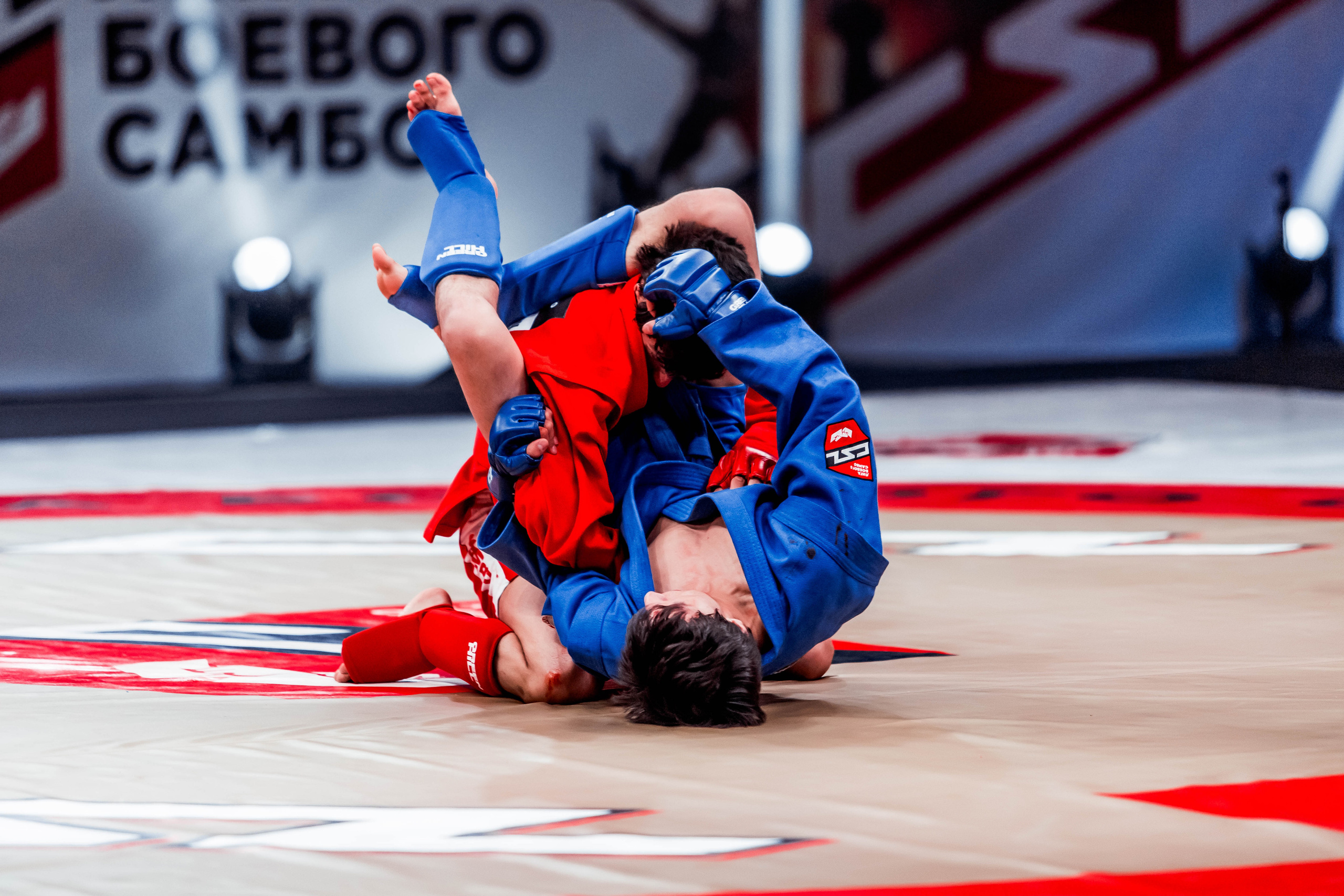 Лига Боевого Самбо. Репортажный фотограф в Сочи Дмитрий Ветринский