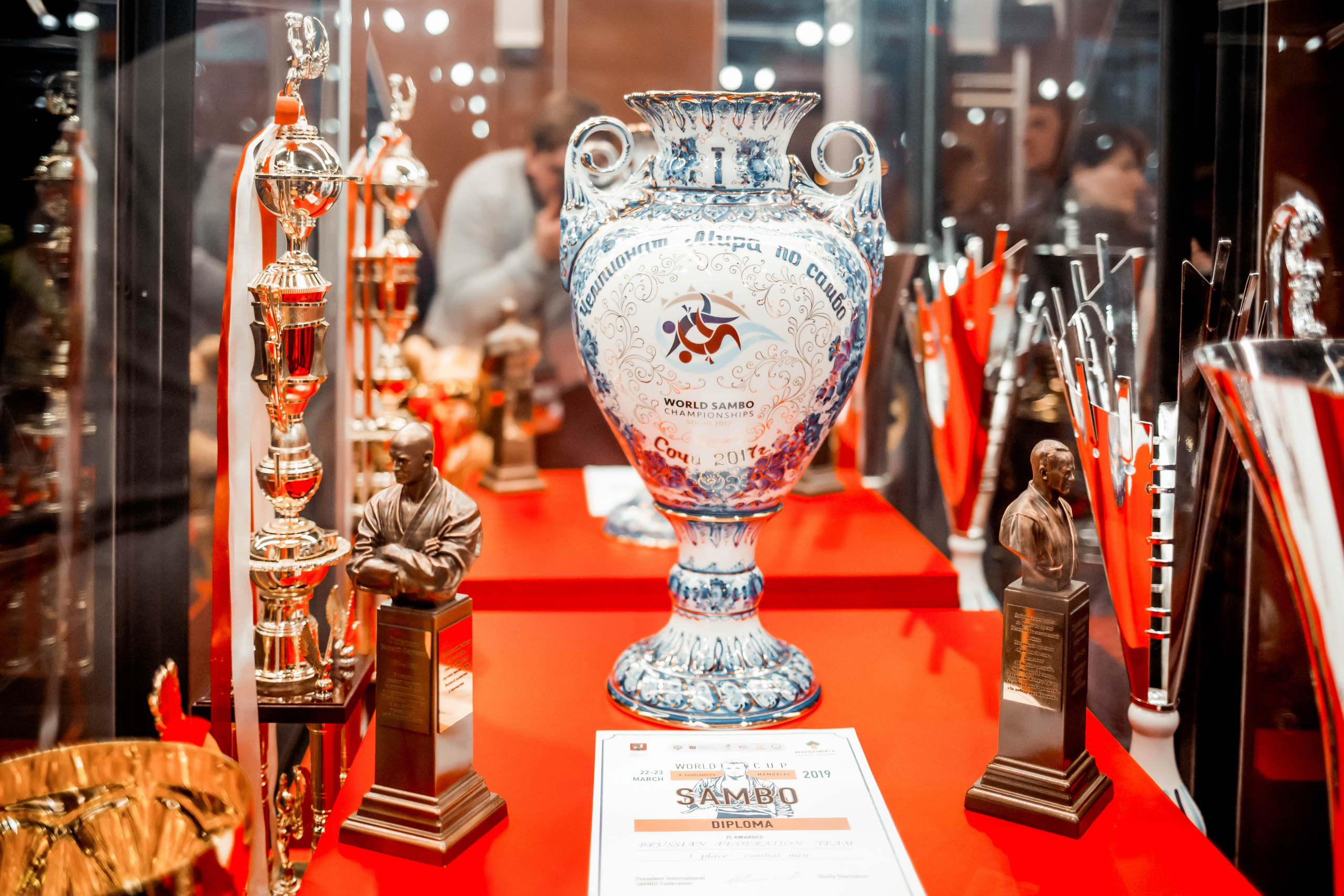 Лига Боевого Самбо. Репортажный фотограф в Сочи Дмитрий Ветринский